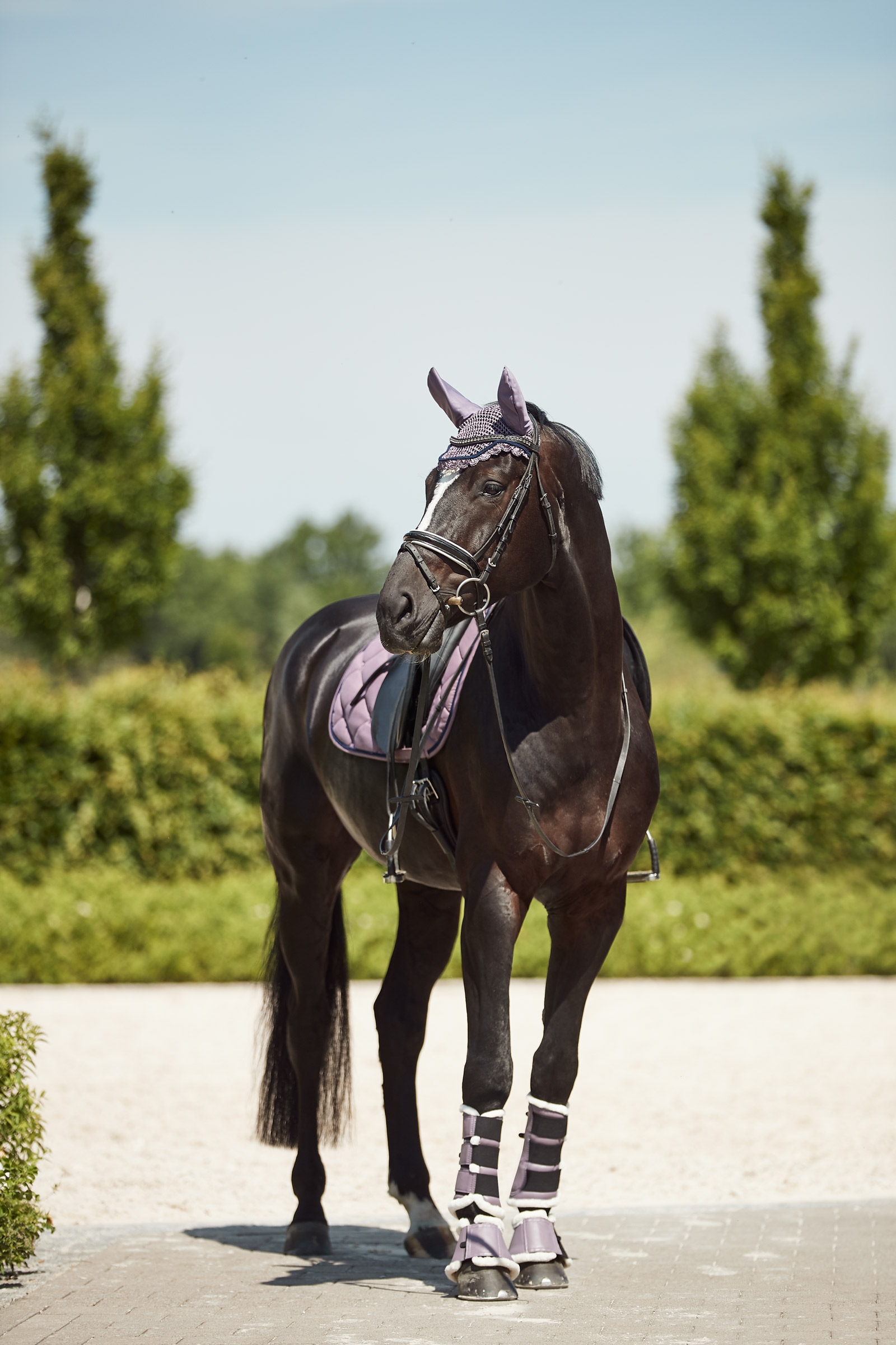Horze Ghent Stivali da lavoro con pelliccia ecologica