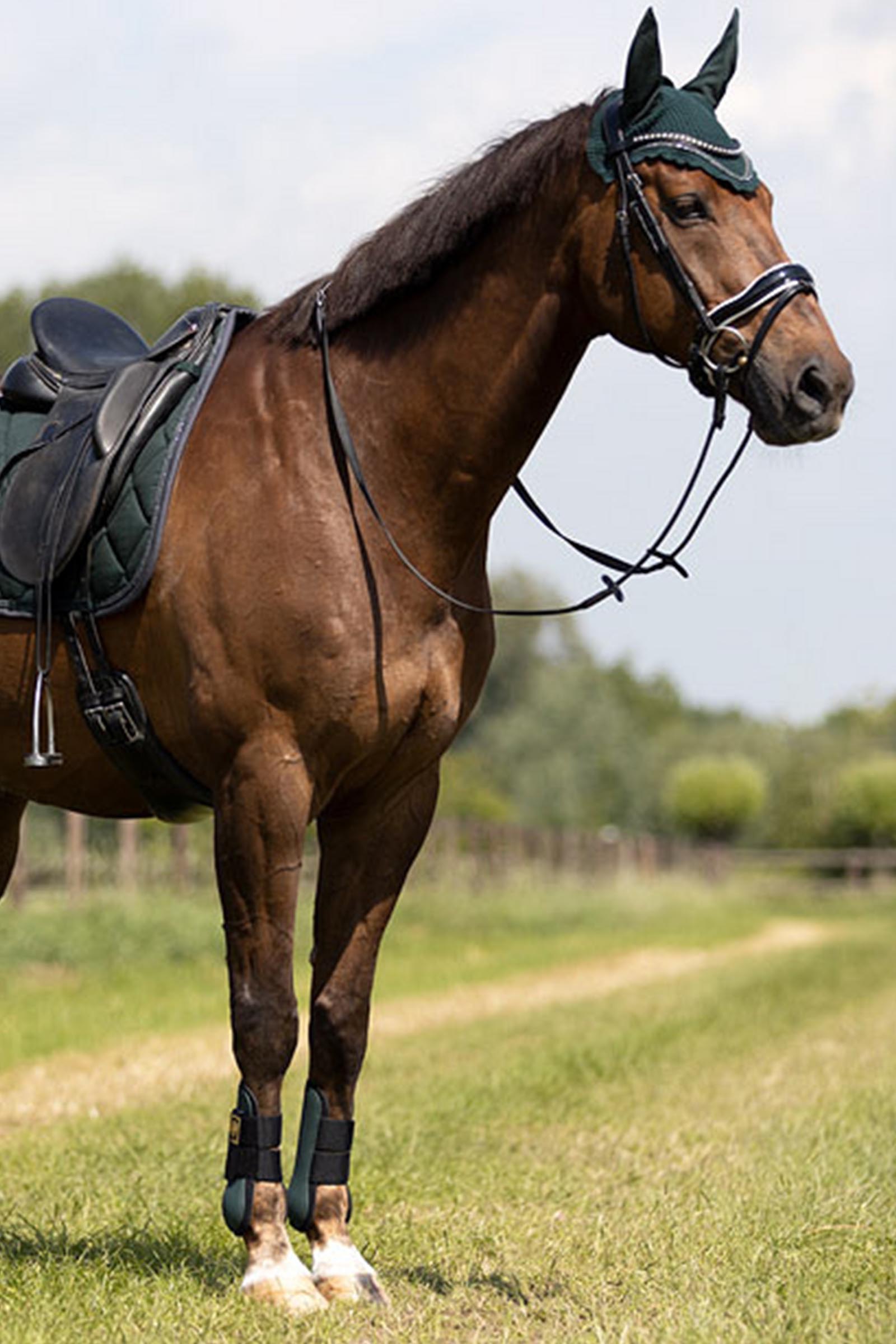 BR Event paratendini