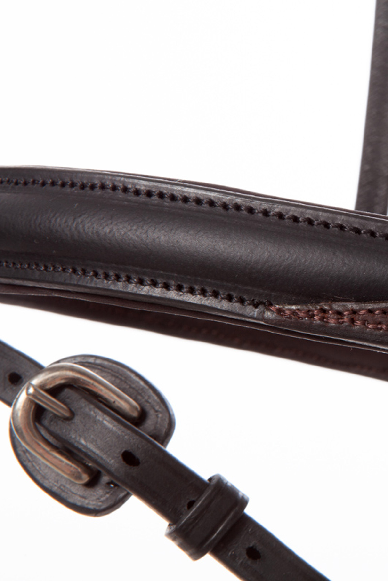 Briglia Kavalkade EveryDay