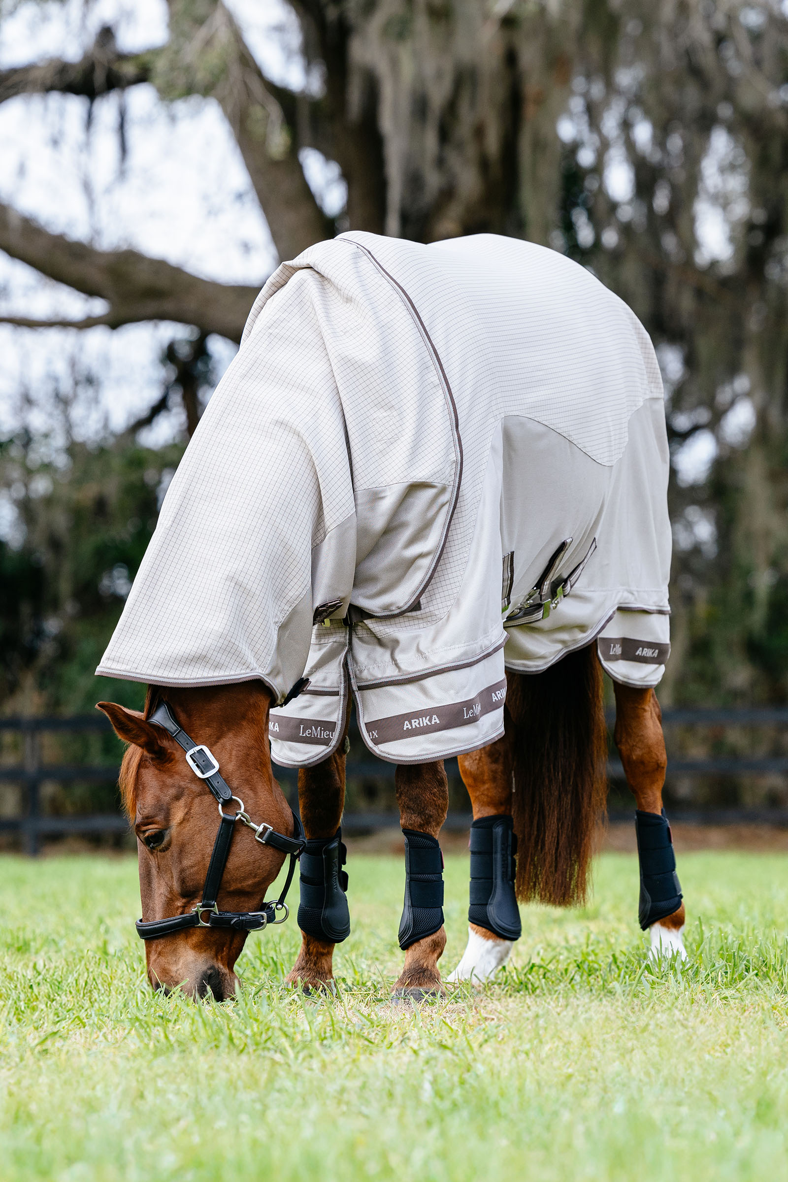 LeMieux Arika 450D Sunstopper coperta da paddock con collo removibile, 0 g