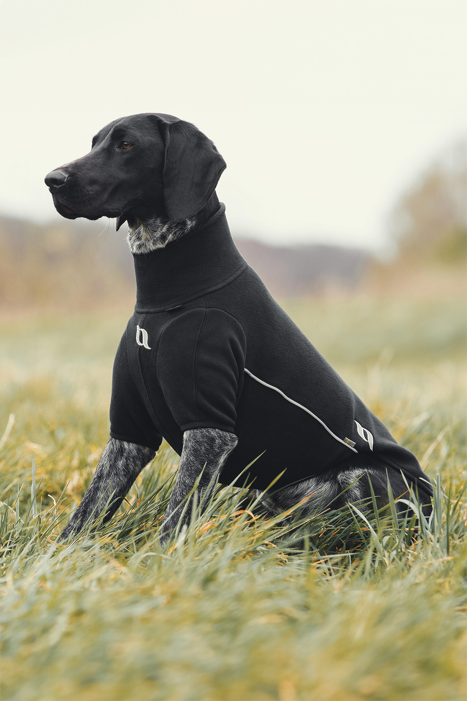 Back on Track, Maglioncino per cane per tutte le stagioni Cassie, 65-70 cm