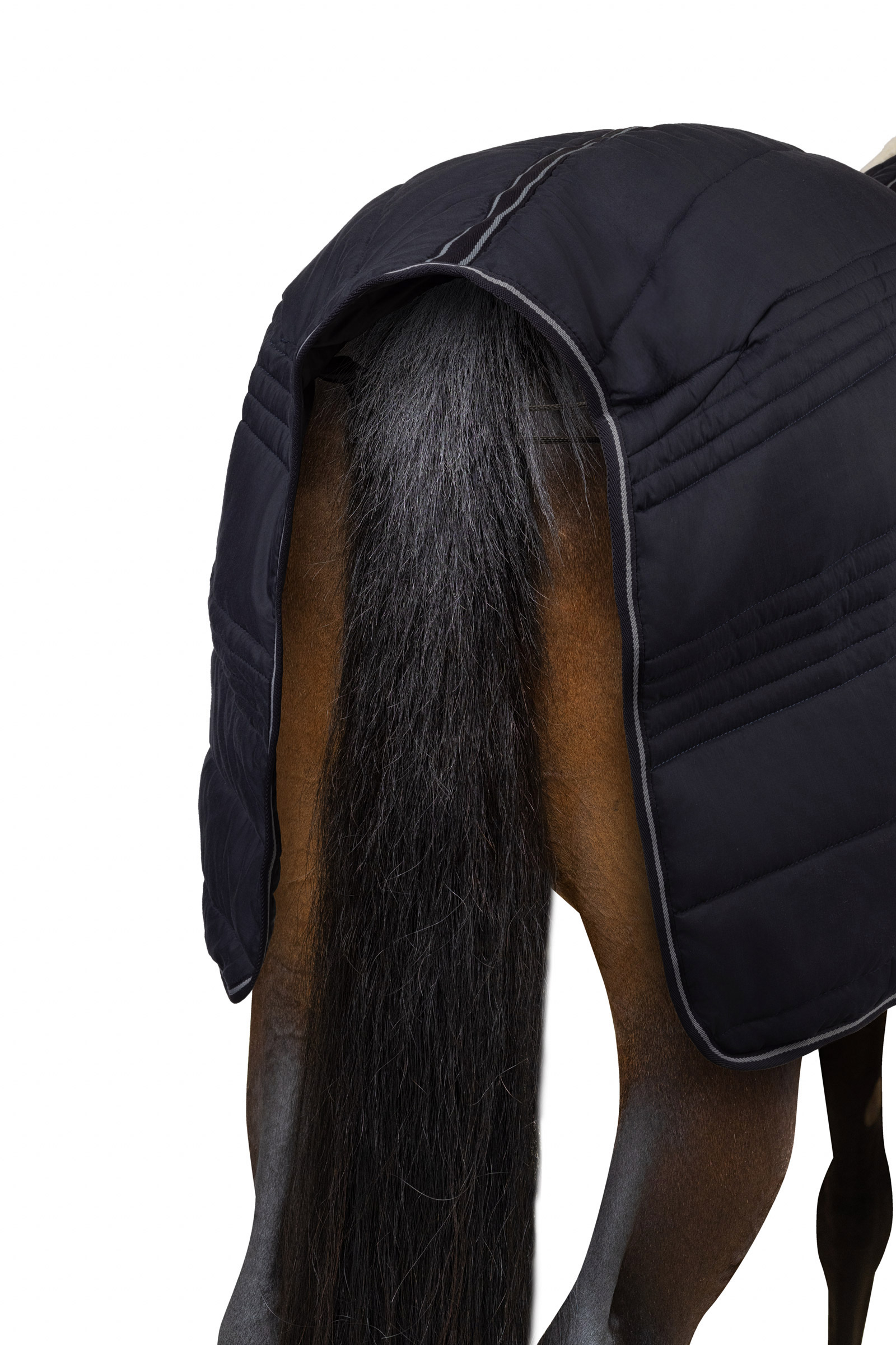 Horze Kingsley Coperta da scuderia, 150 g