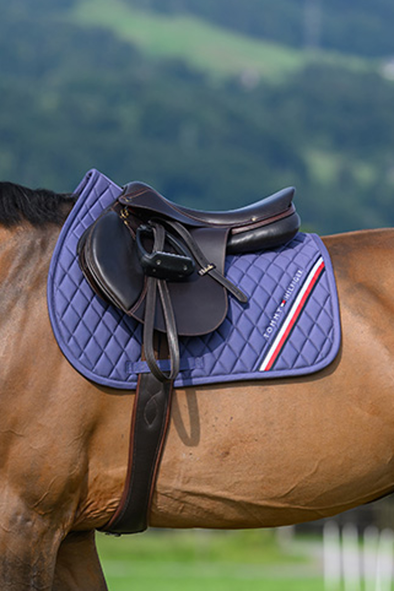 Tommy Hilfiger Equestrian Stanford sottosella da salto
