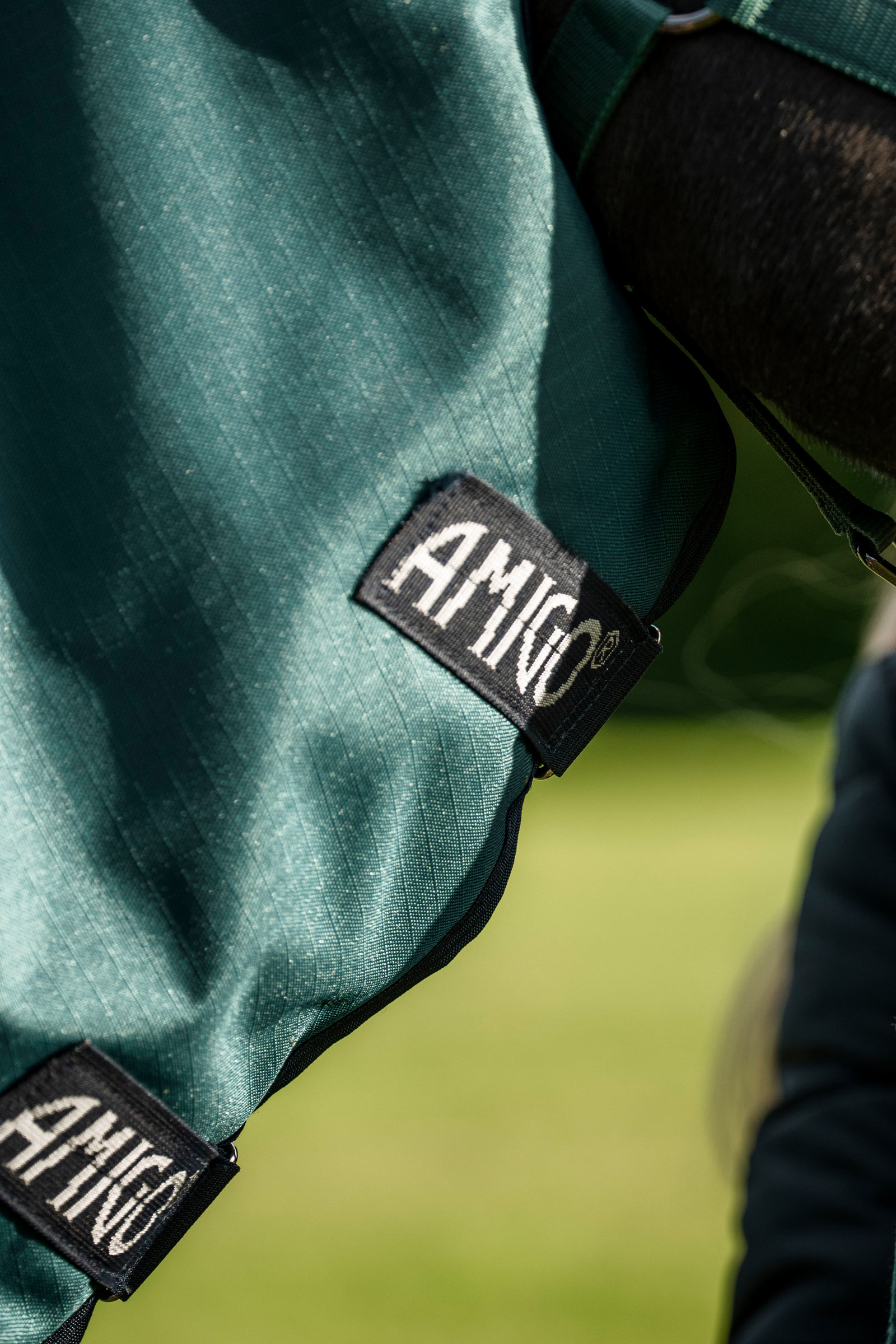 Horseware Amigo Ripstop 900D Plus coperta da paddock per pony, 50 g