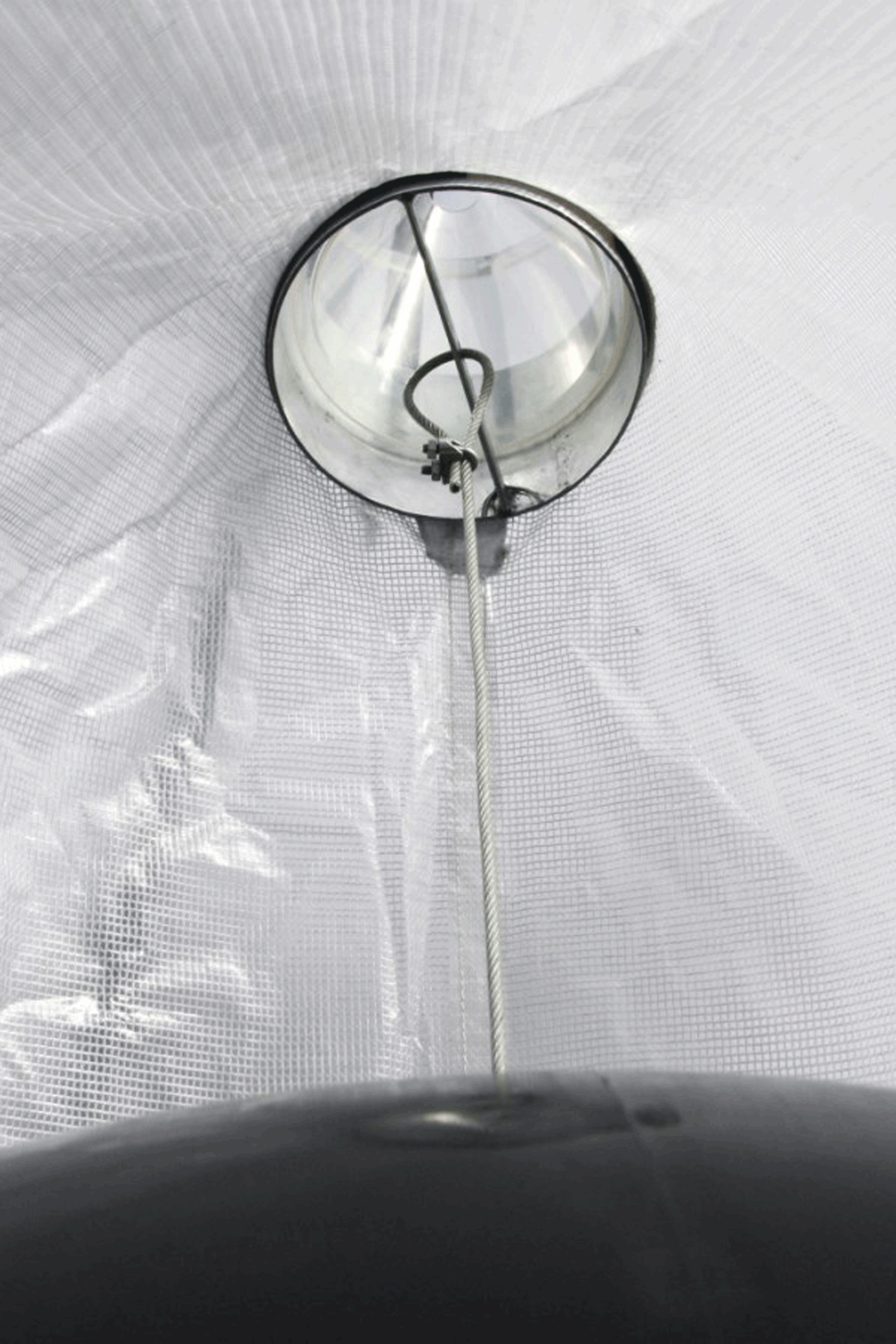 Kerbl TaonX Eco Trappola per tafani