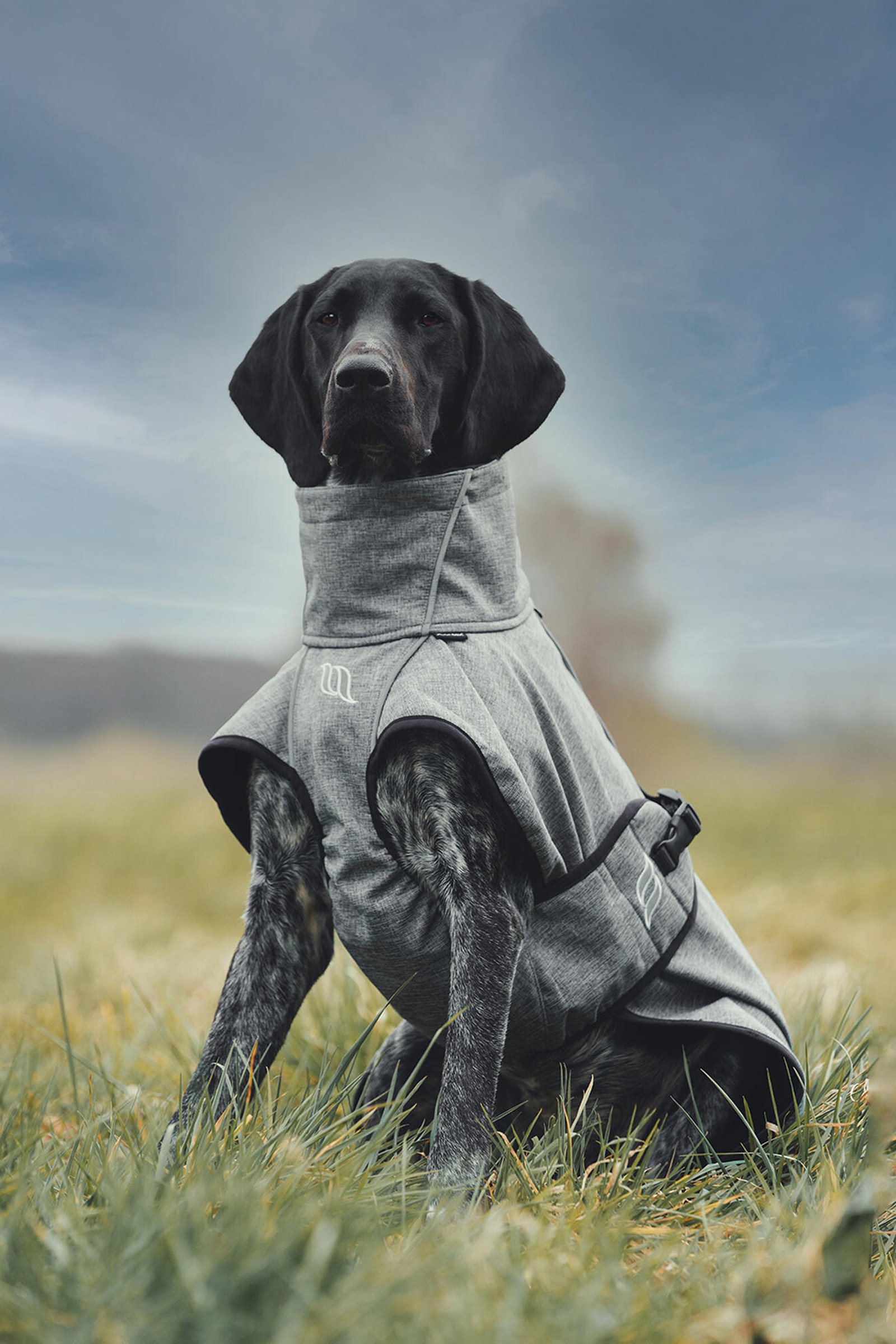 Back on Track Bark Cappottino per cani, 40-50 cm