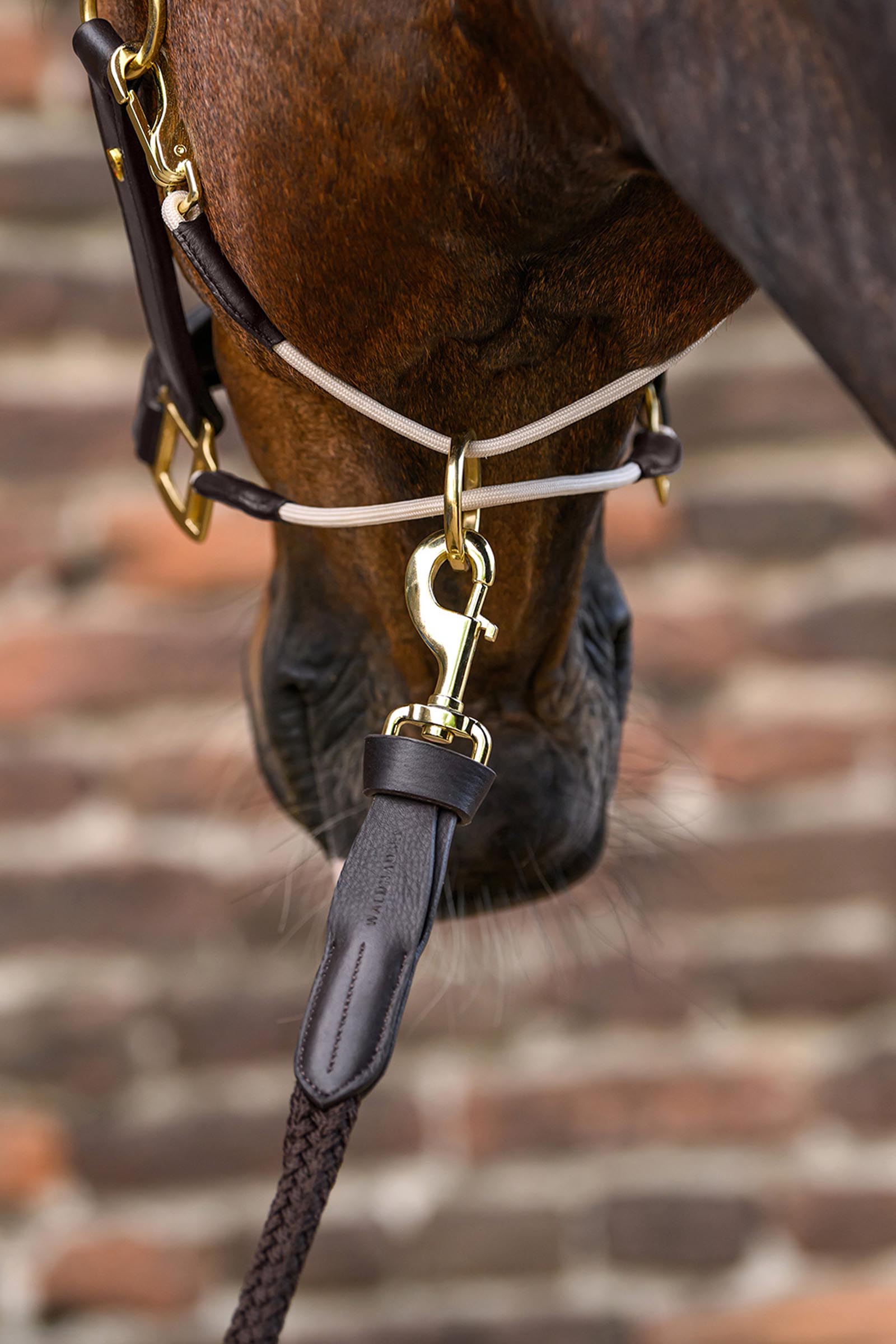 Royal Waldhausen S-Line capezza in pelle