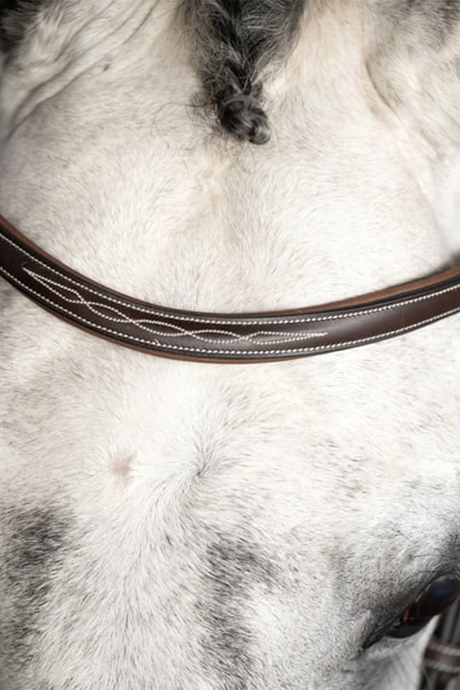 PS of Sweden Ocala briglia