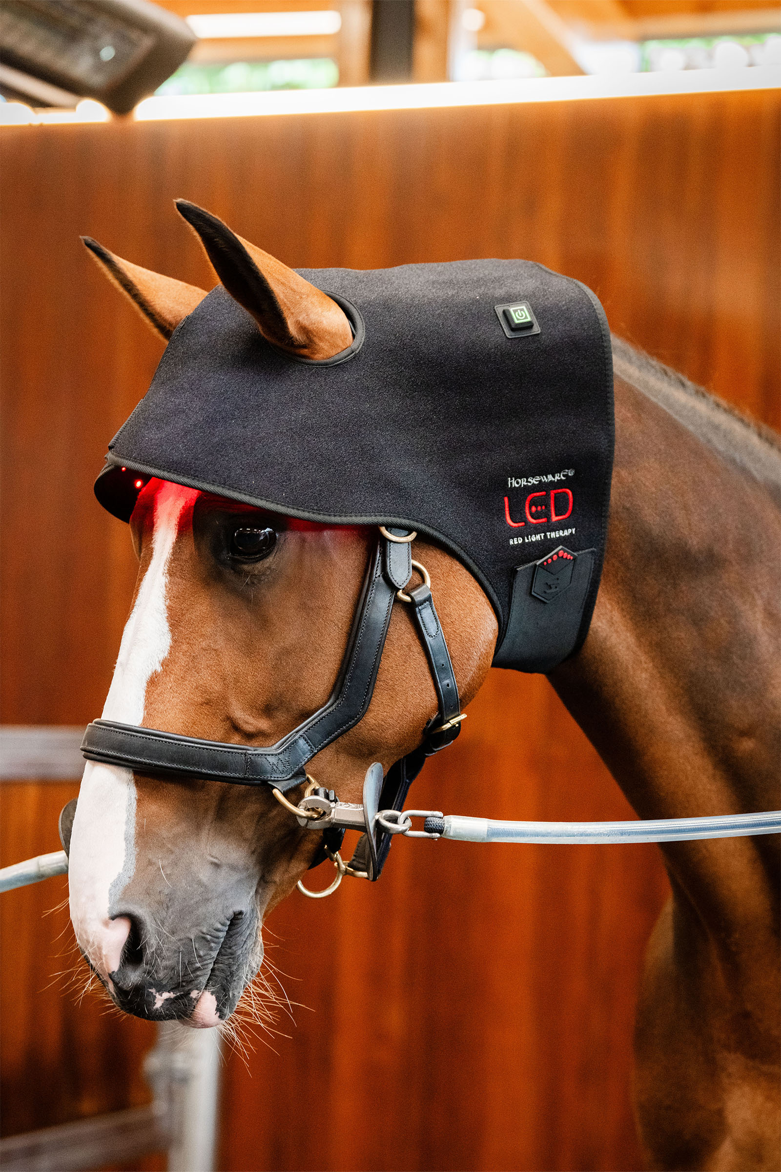 Horseware cappuccio terapeutico a LED con luce rossa per la nuca