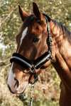 Mountain Horse capezza regolabile con pelliccia sintetica