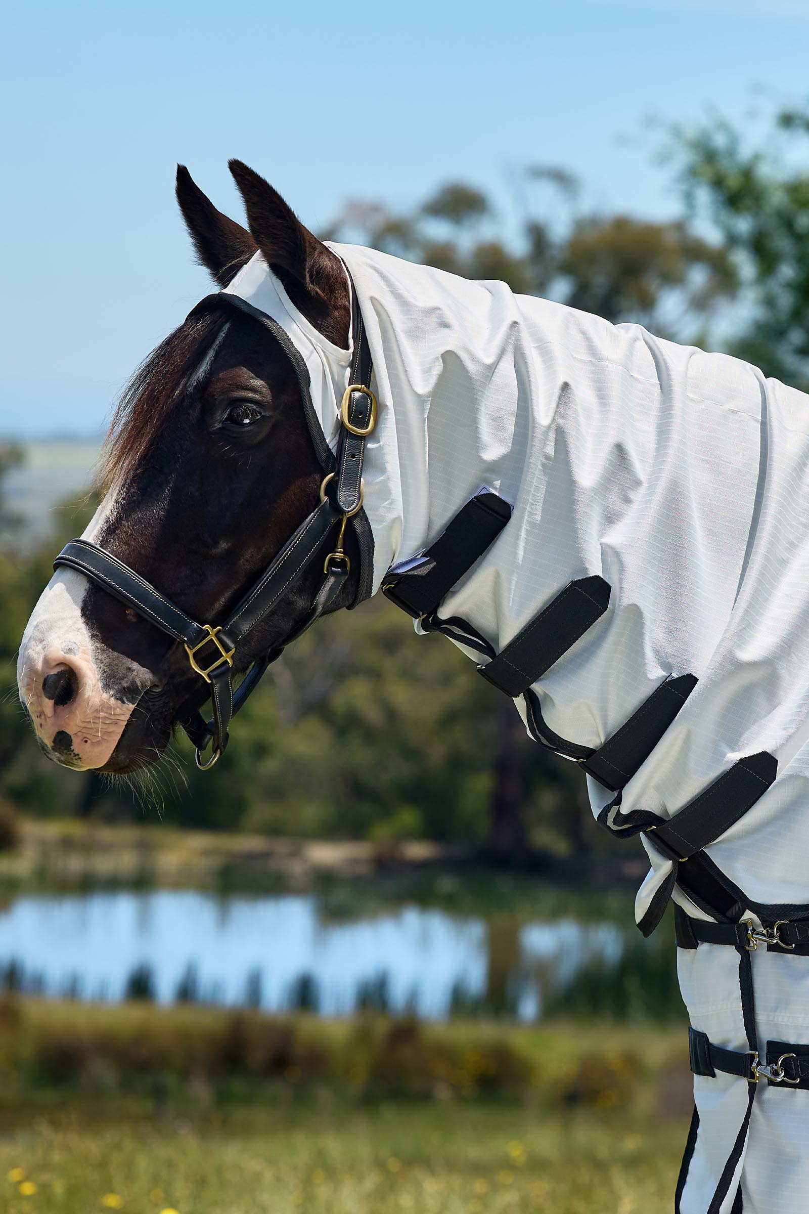 Weatherbeeta ComFiTec Sweet Itch Shield Coperta antimosche combo con collo fisso, 0 g  