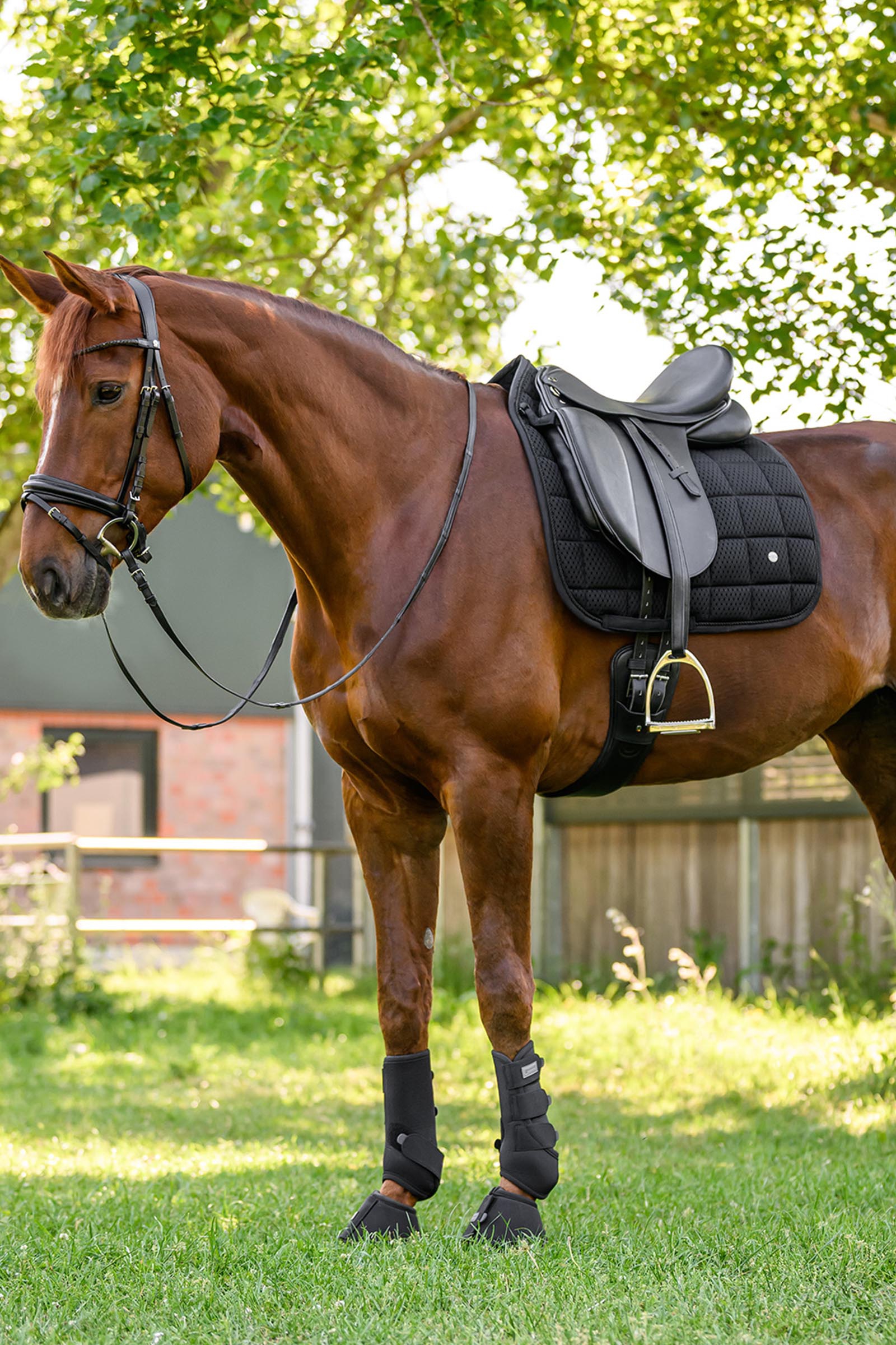 Waldhausen Breath Performance sottosella dressage