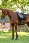Waldhausen Breath Performance sottosella dressage