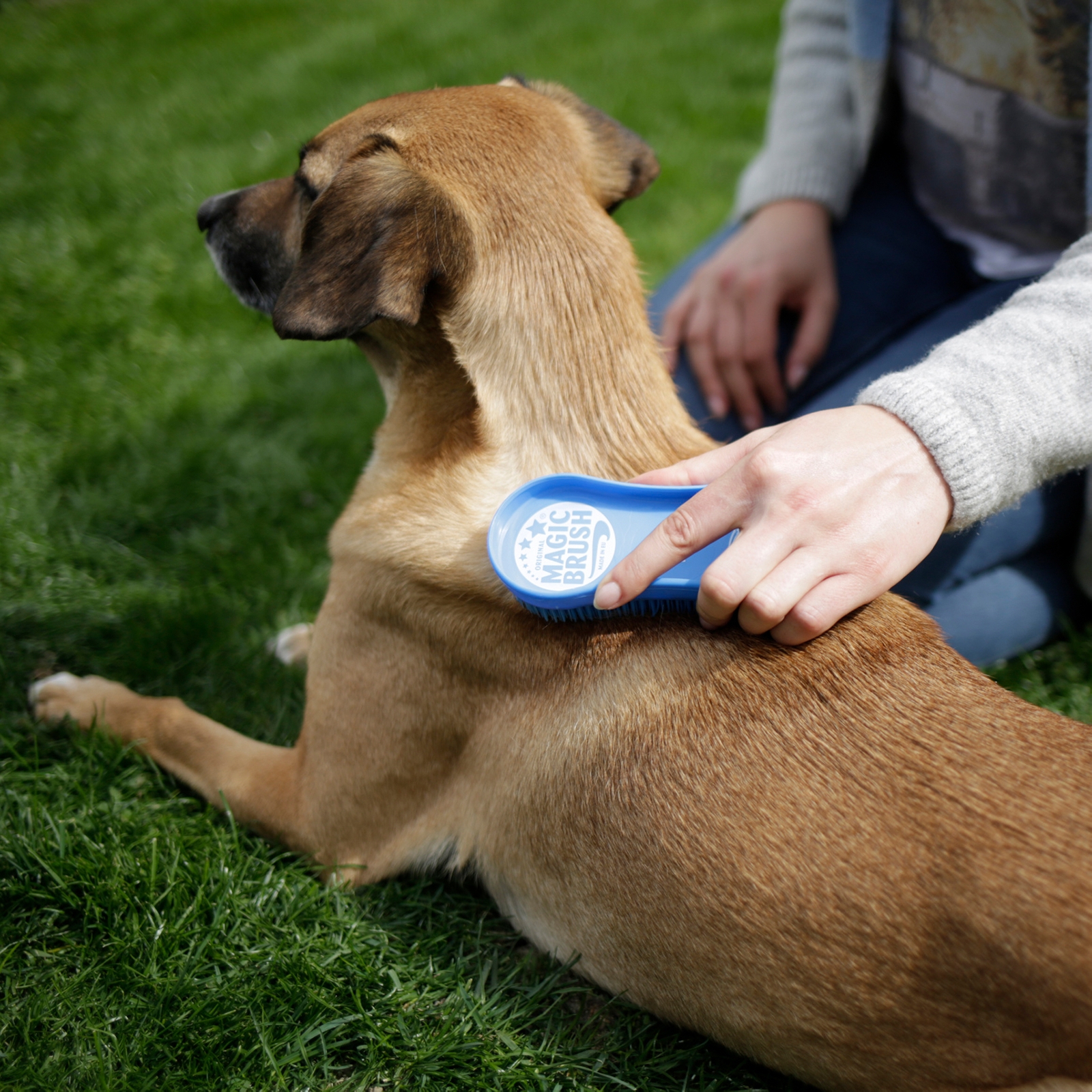 Kerbl Magic Brush Cane