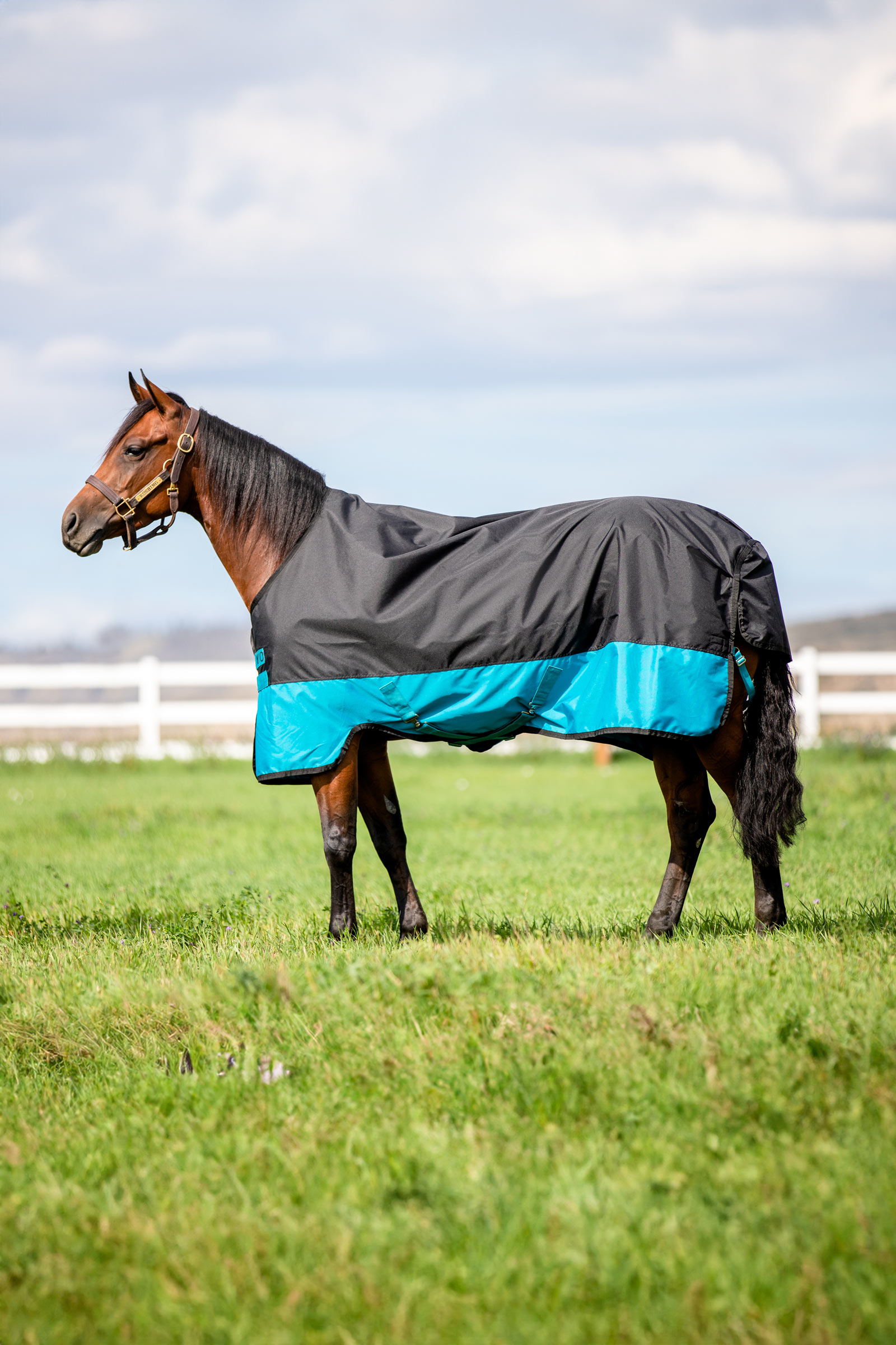 Horseware Mio coperta da turnout leggera, 200 g