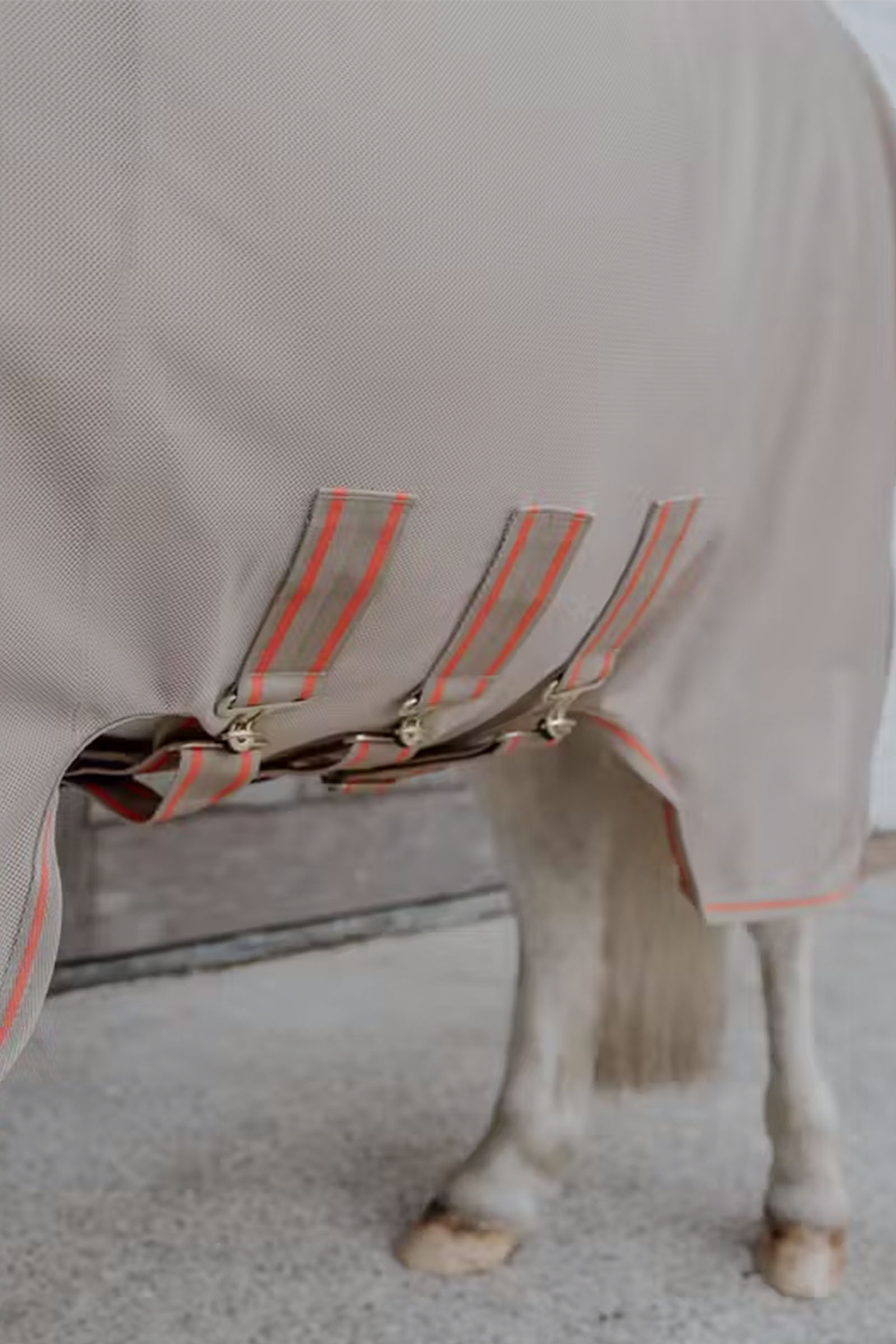 Kentucky Horsewear coperta antimosche in rete Comfort