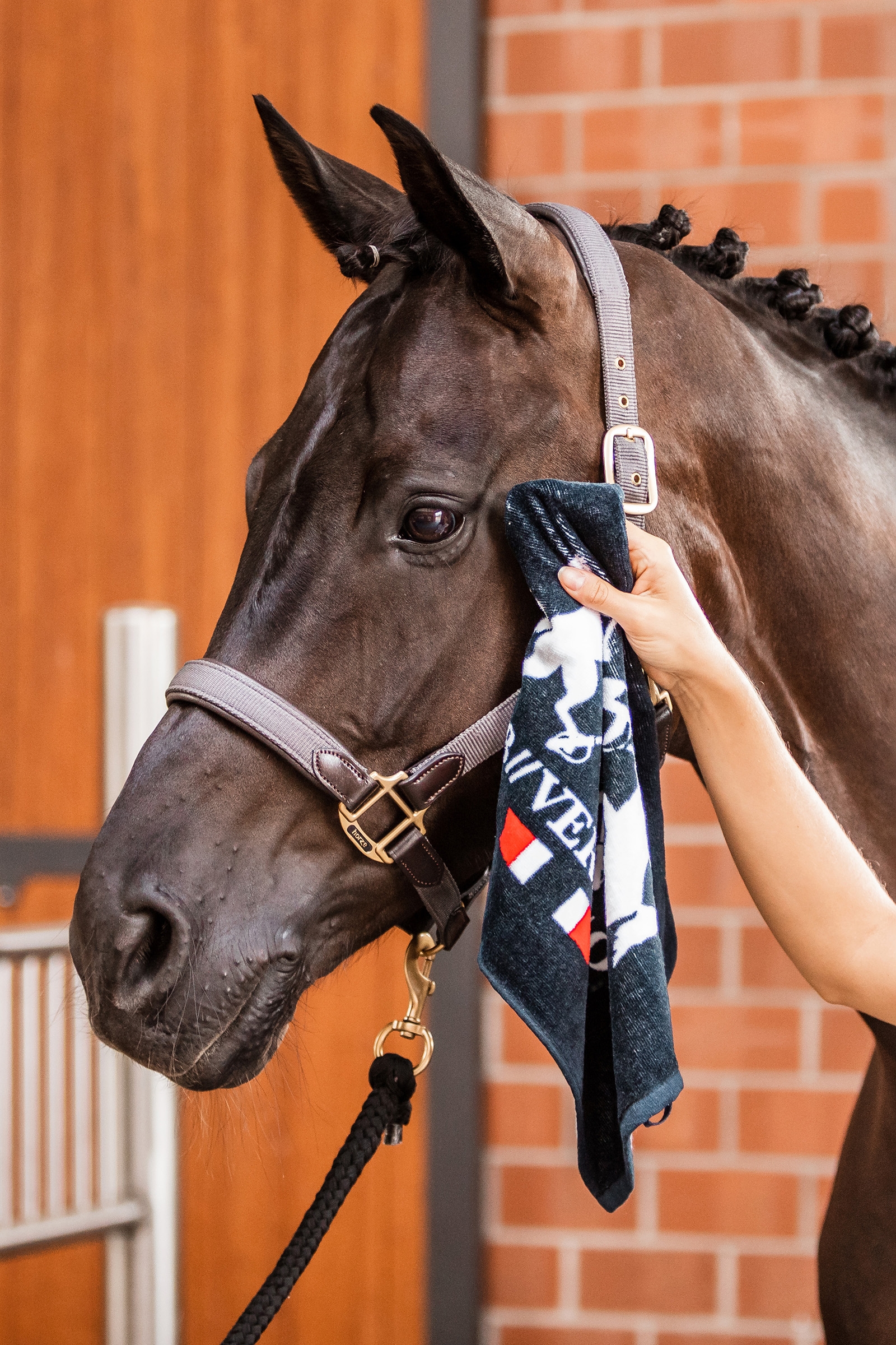 B Vertigo Asciugamano