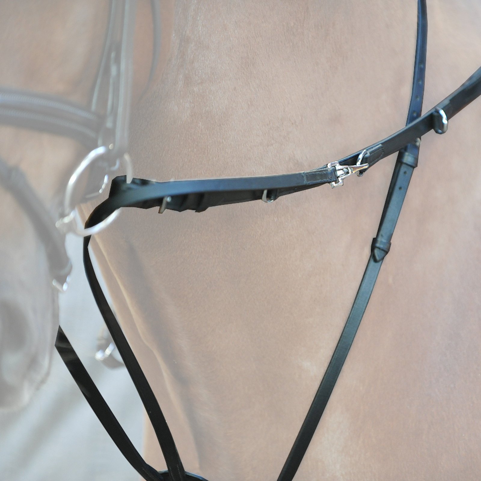 Kavalkade Market Harborough martingala