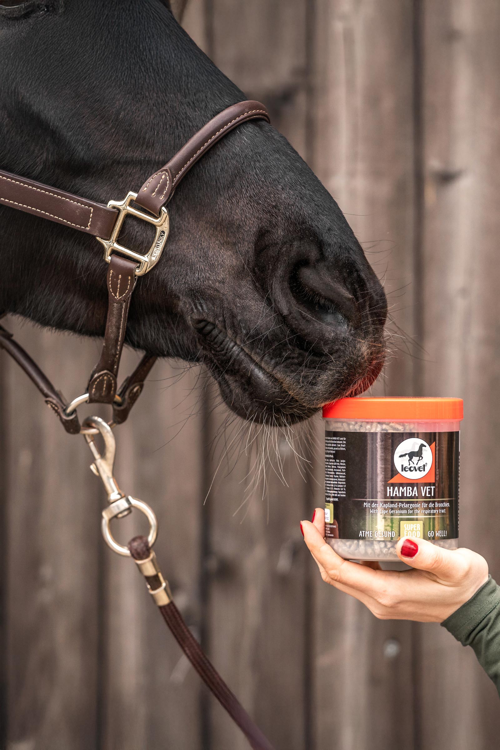 Leovet HAMBA veterinario, 700g