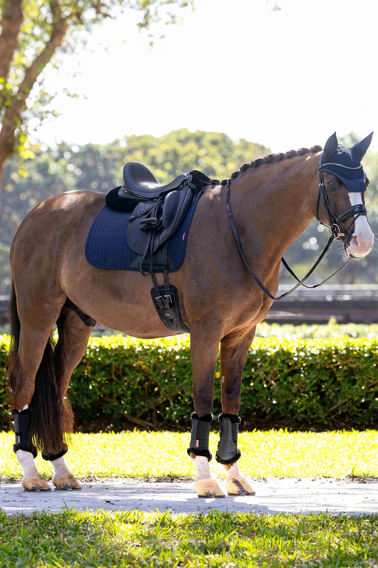 LeMieux Essence sottosella dressage