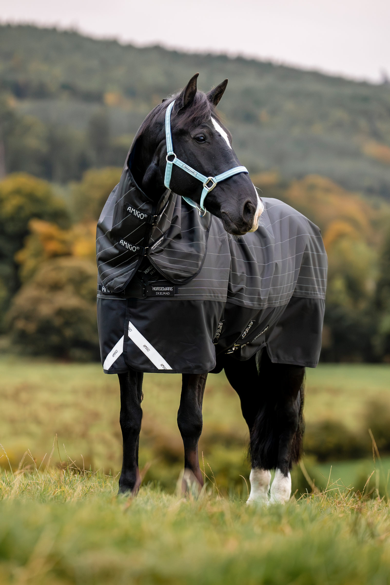 Horseware Amigo 1200D FieldSafe Reflectech Plus coperta turnout, 100 g