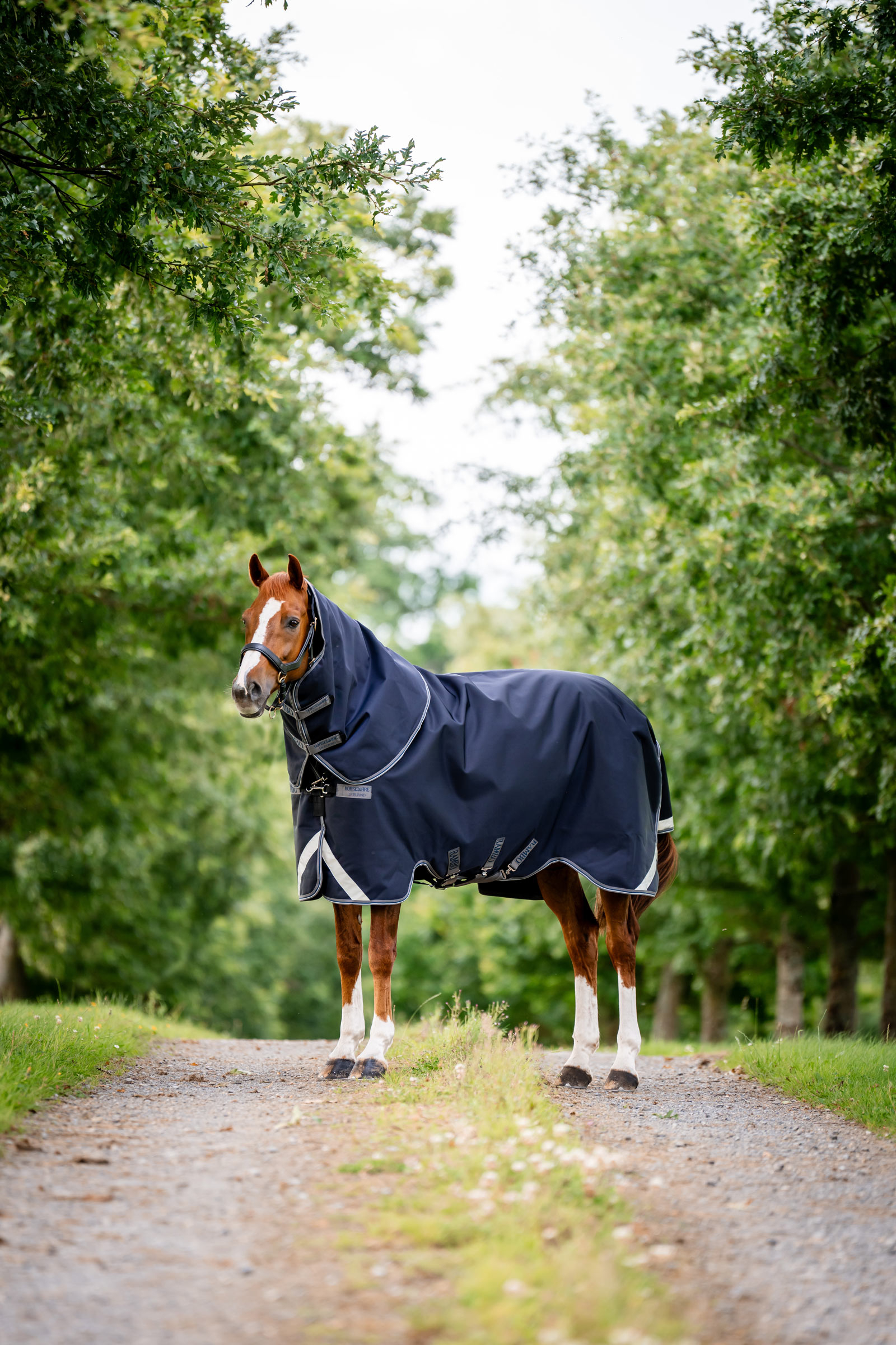 Horseware Rambo 1680D Plus Vario Layer coperta da esterno, 250 g