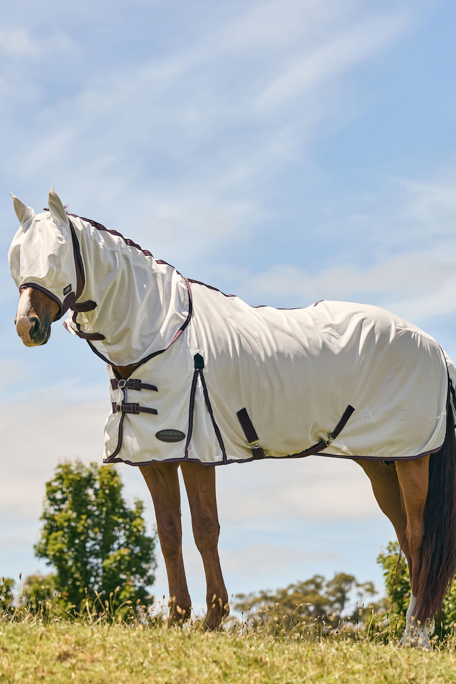 Weatherbeeta Comfitec Essential maschera in mesh