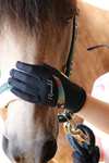 Roeckl Kapriole guanti da equitazione bambini