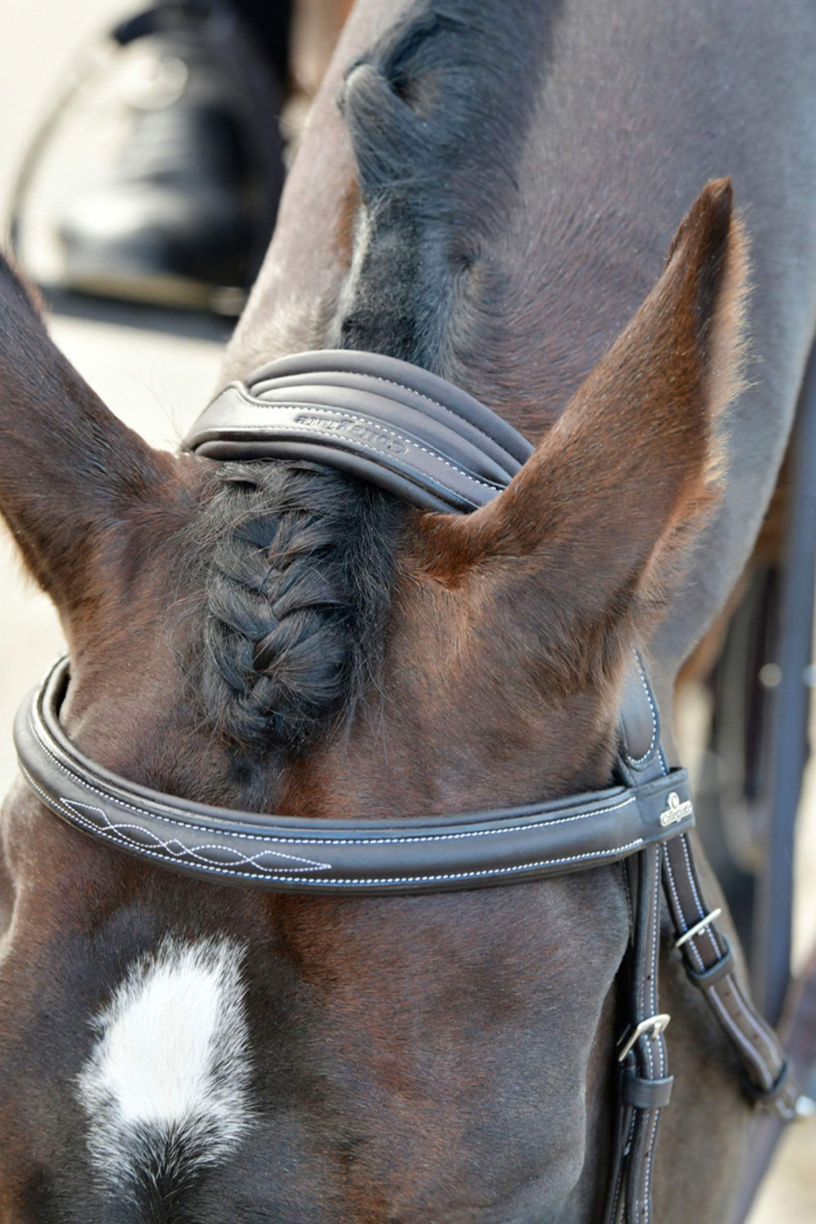 Collegiate Comfitec Opulux Fancy Stitch testiera hanoveriana imbottita