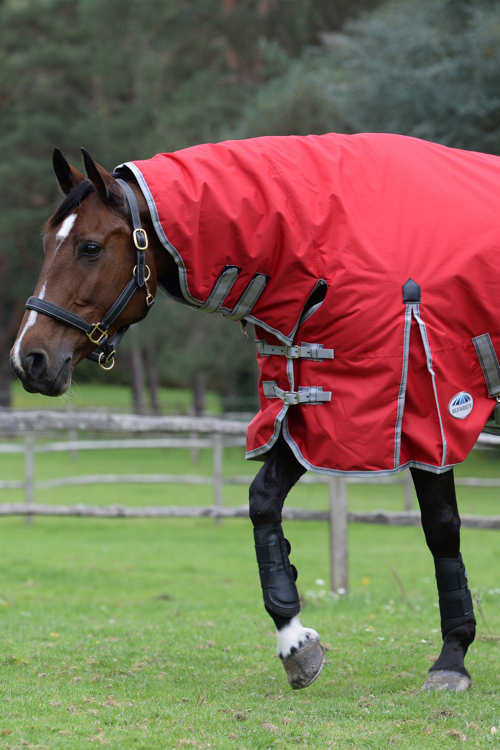 Weatherbeeta Comfitec Classic Coperte per cavalli con collo integrato, 50g