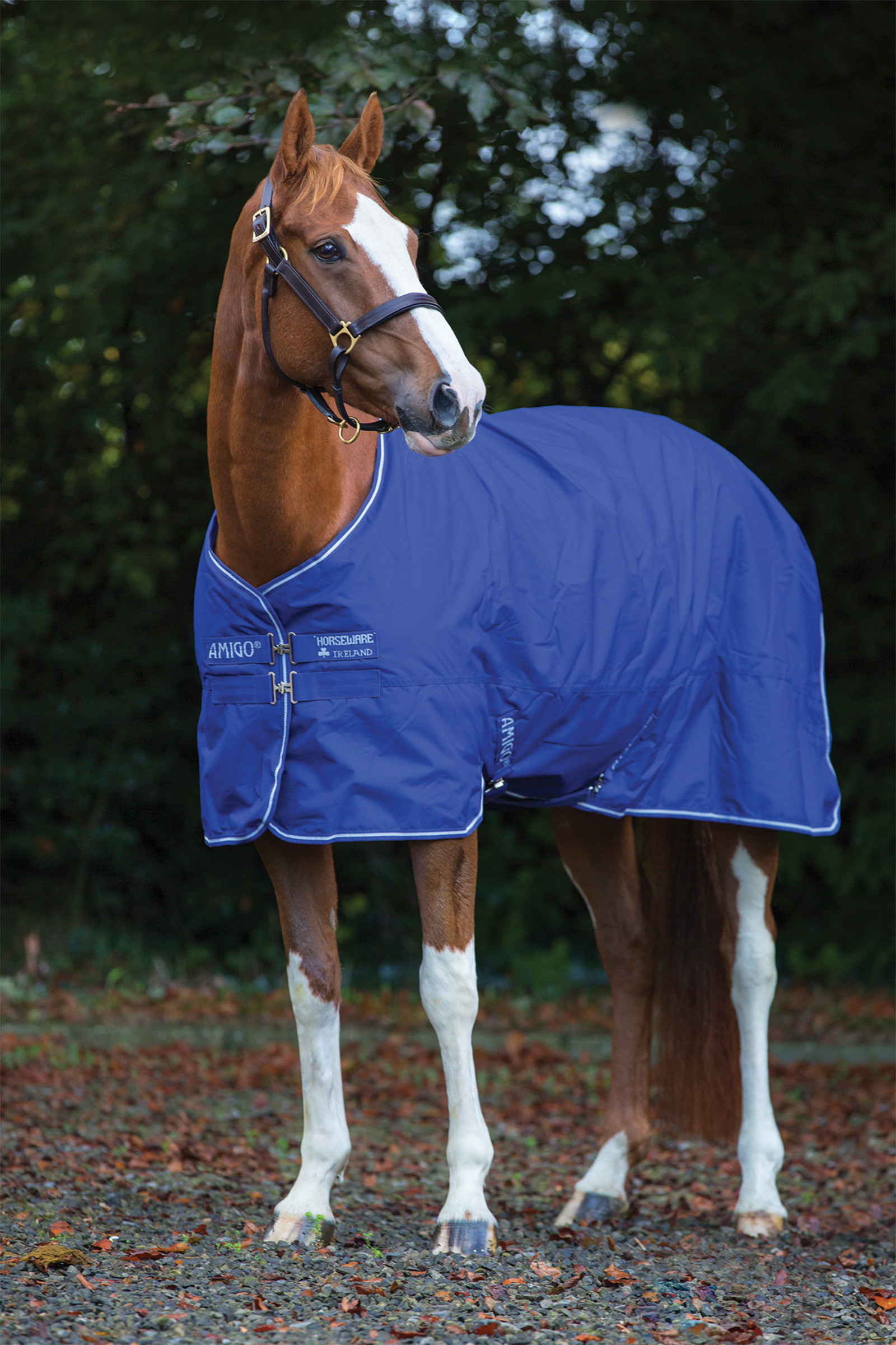 Horseware Amigo Hero 900 Plus Medium coperta da paddock, 200g