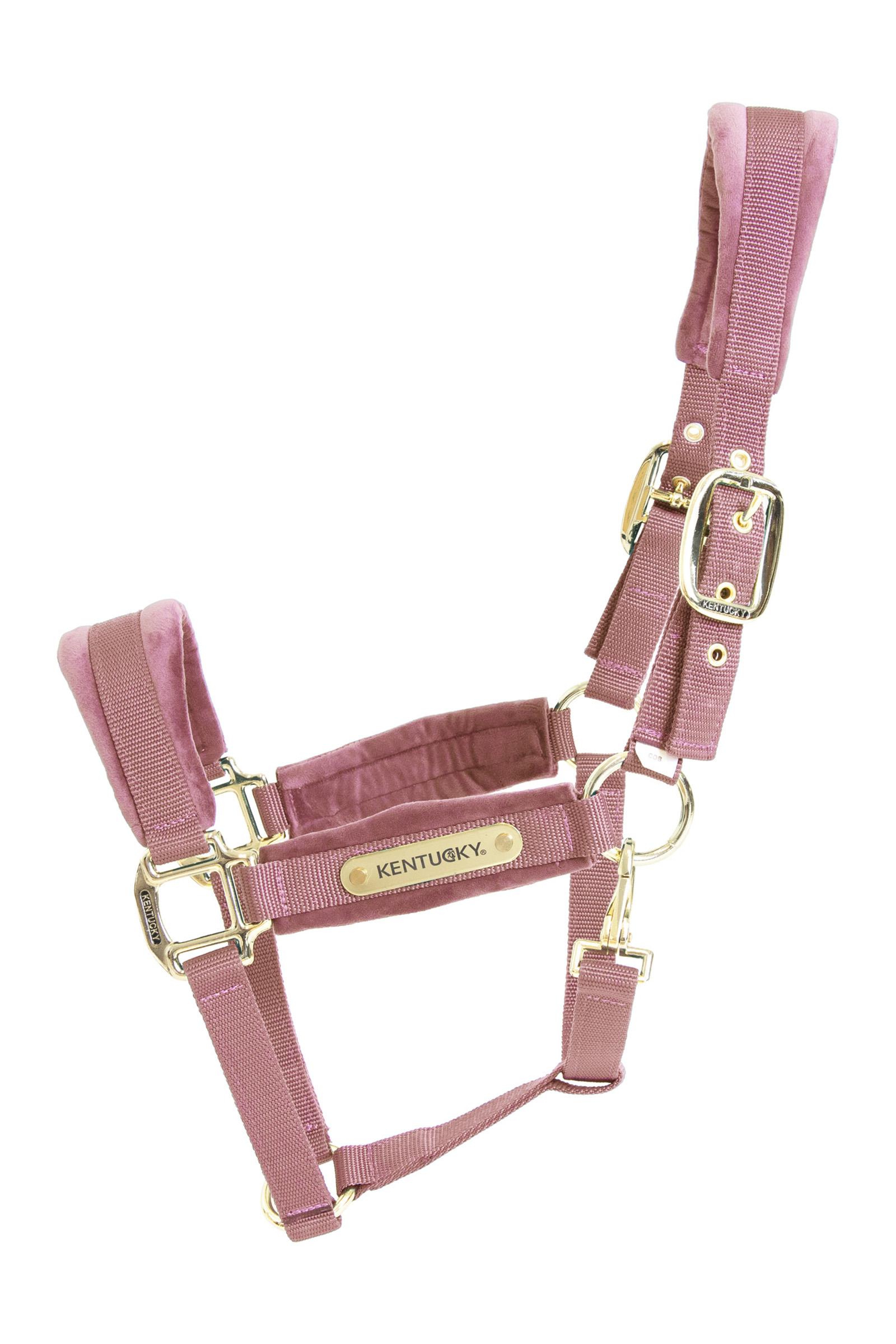 Light Pink Kentucky Horsewear Cavezza con velluto