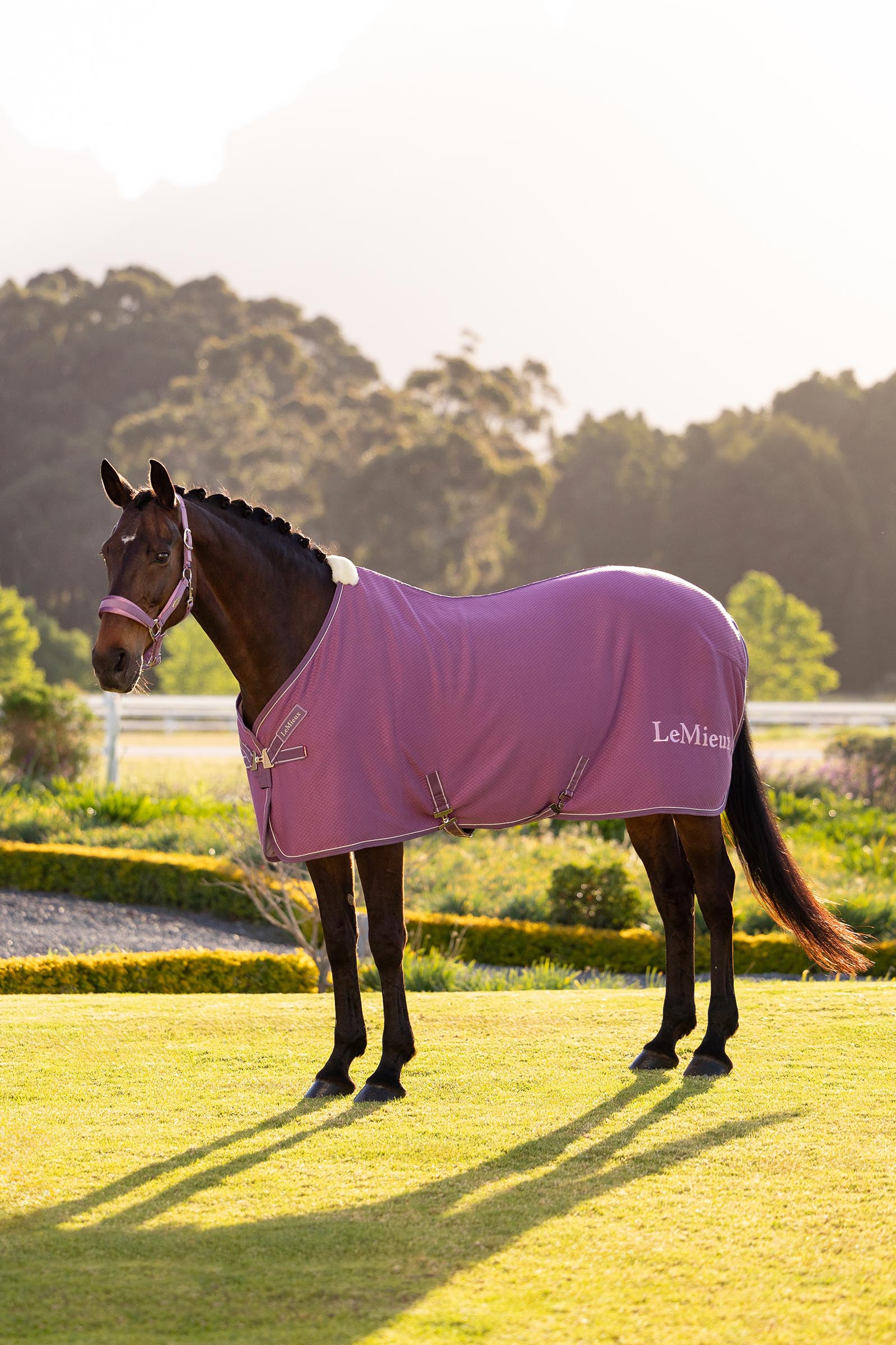 Mallow LeMieux Kudos coperta asciugante in bamb&ugrave;