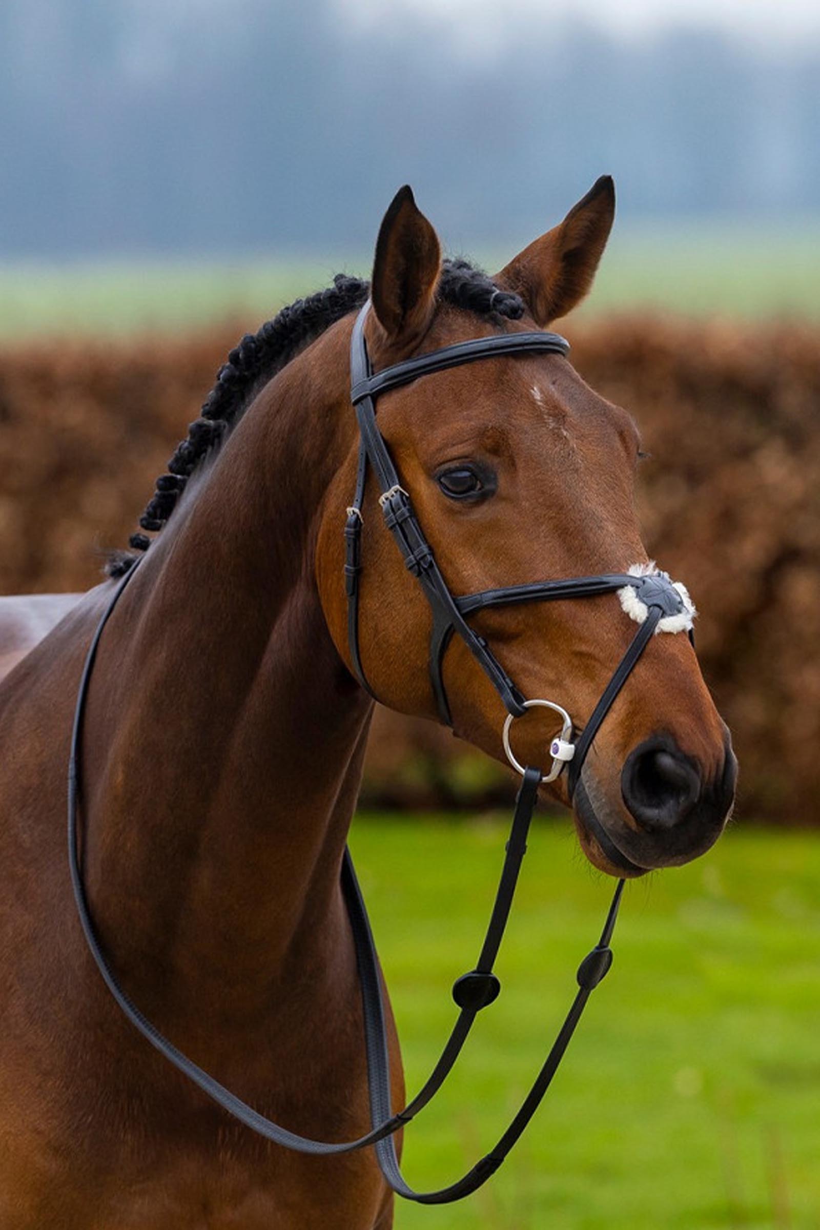 Trust Equestrian Oslo Mexican Noseband Bridle