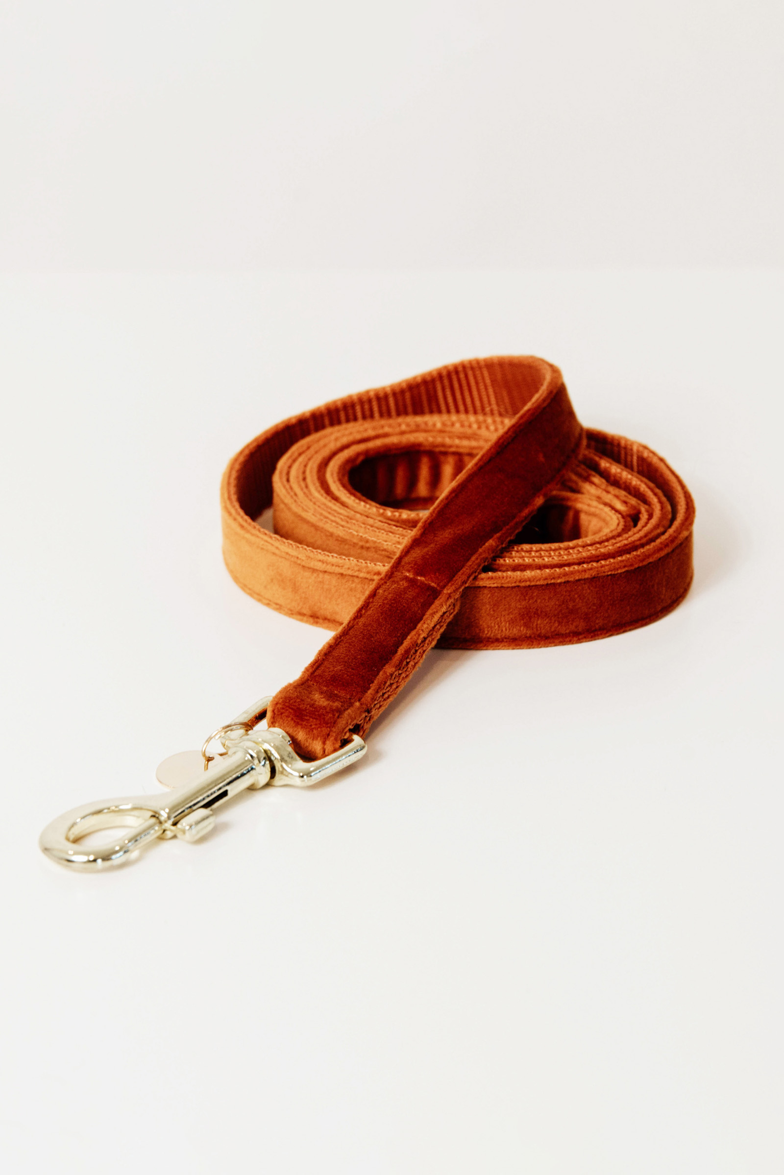 OR/B Kentucky Dogwear guinzaglio per cani in velluto