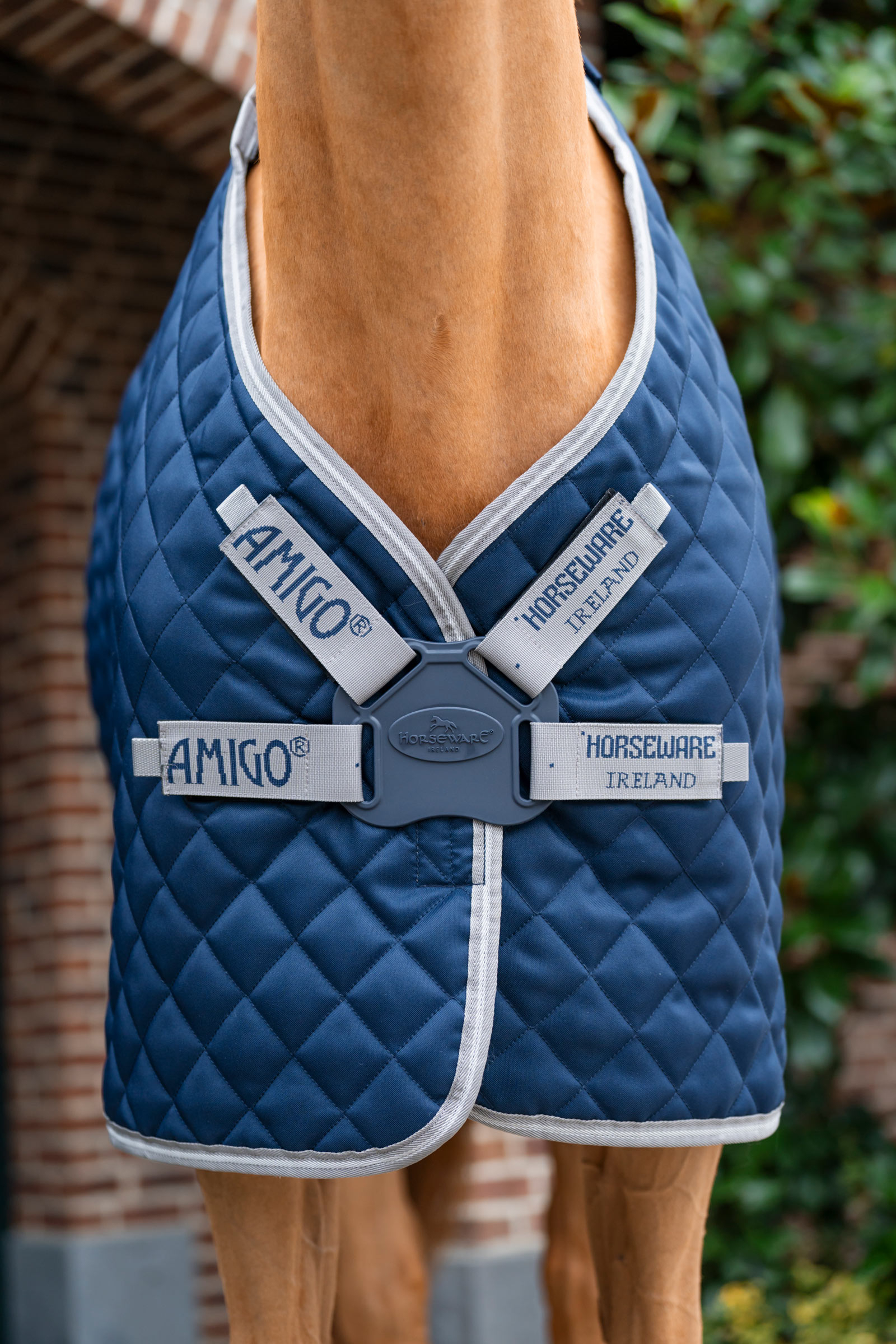 Horseware Amigo coperta da box trapuntata Plus, 200 g