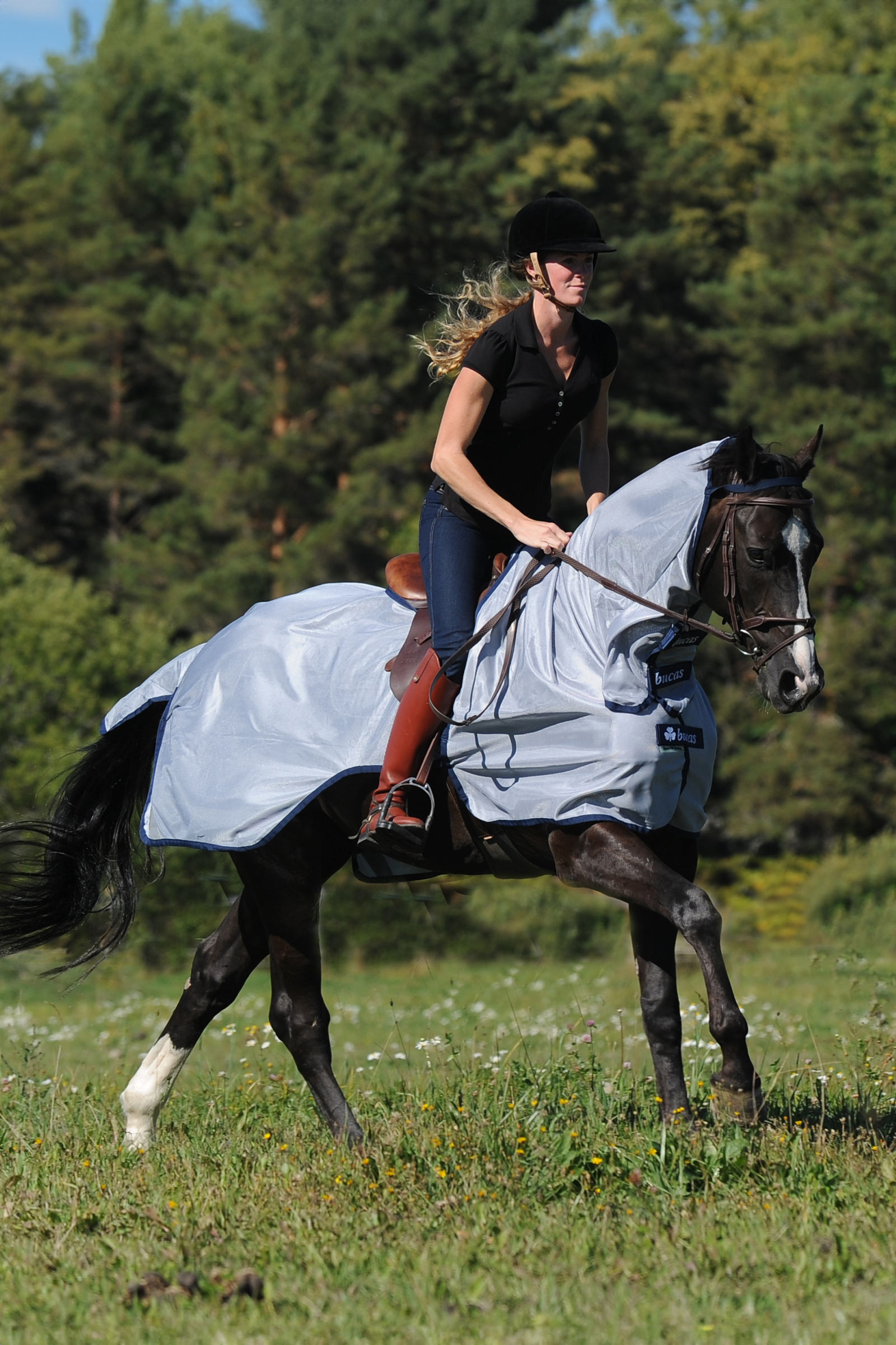 Bucas Buzz-Off coperta da allenamento