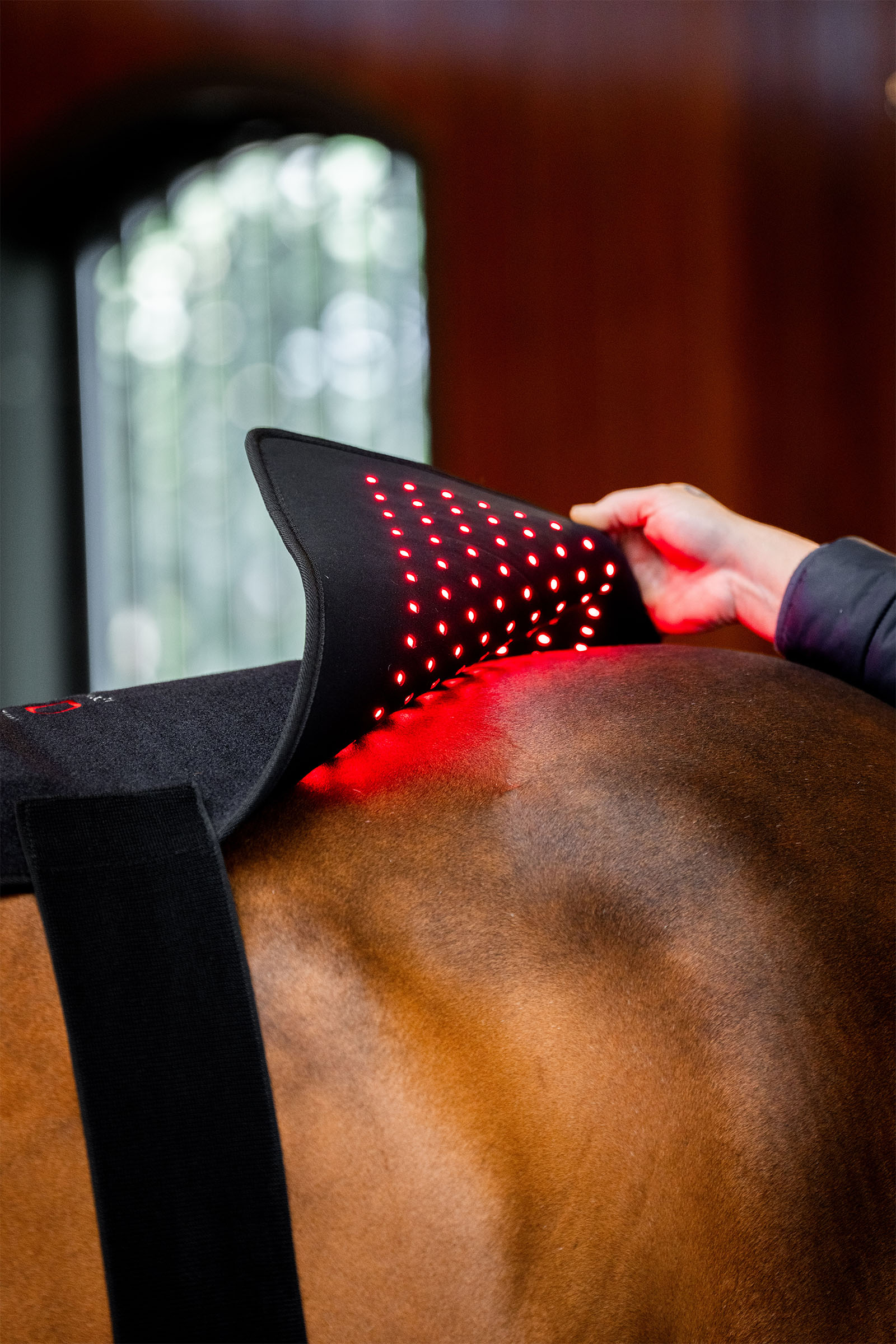 Horseware Pad terapeutico a LED con luce rossa