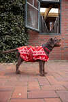Maglione di Natale per cani Horze