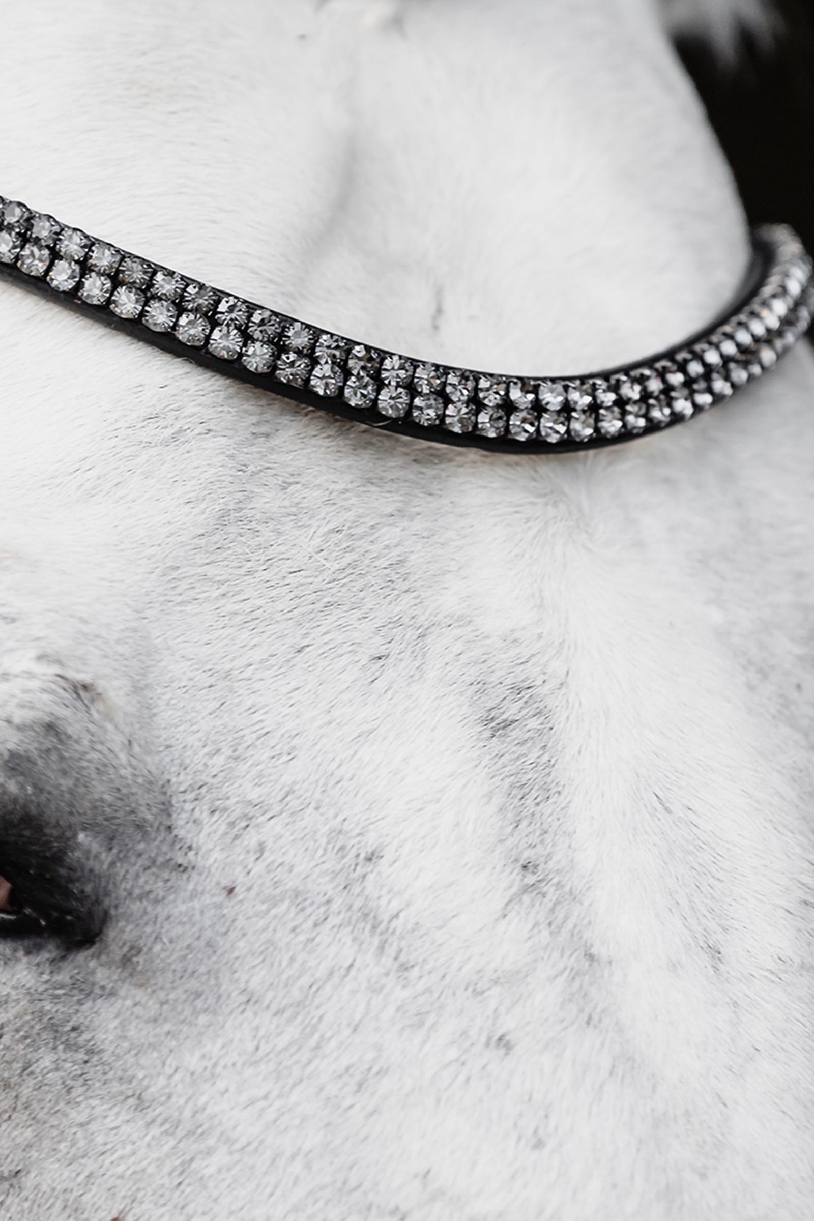 Schockem&ouml;hle Sports Satchmo Bridle - Isabell Werth Collection