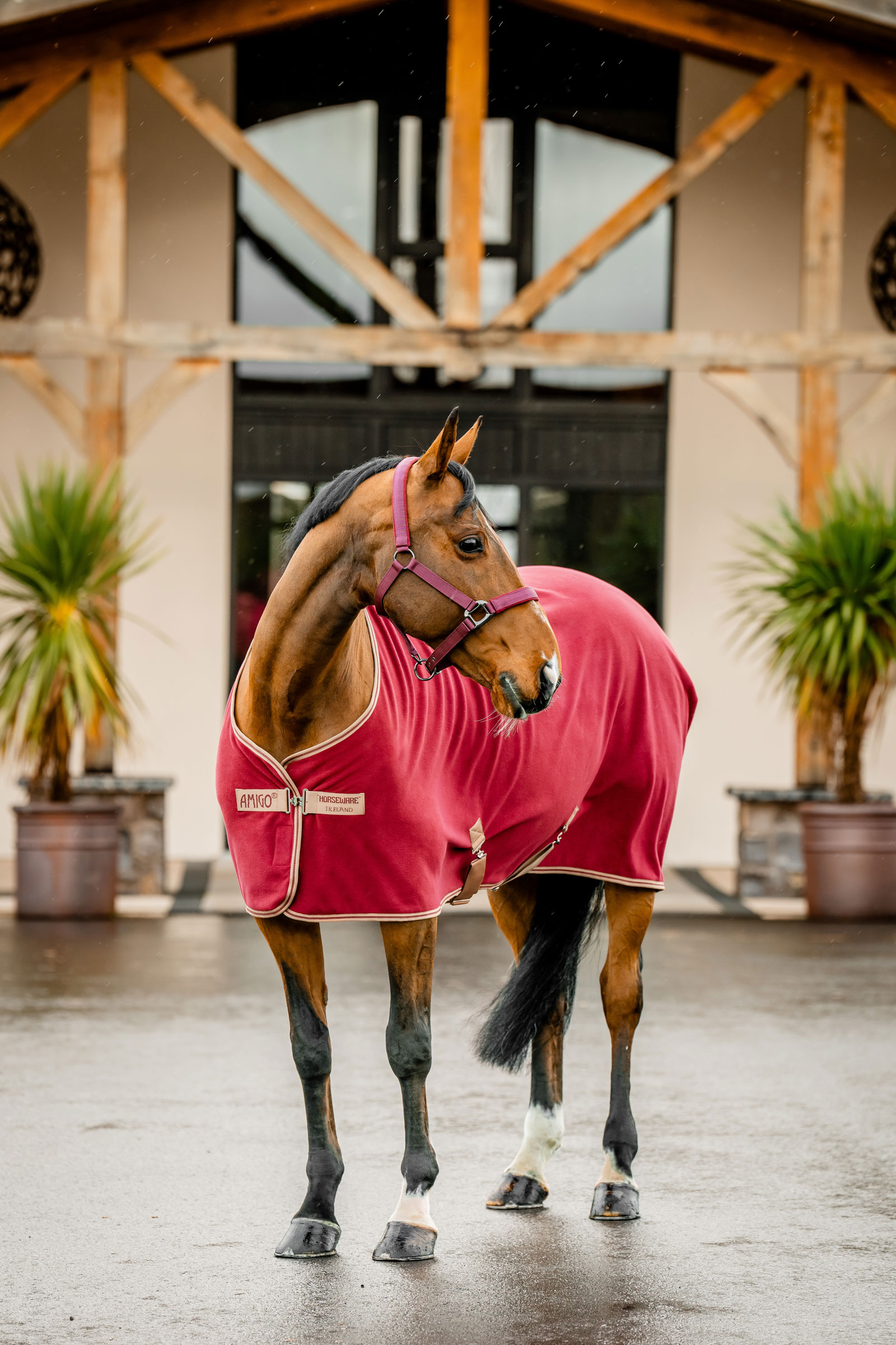 Horseware Amigo Coperta in Pile