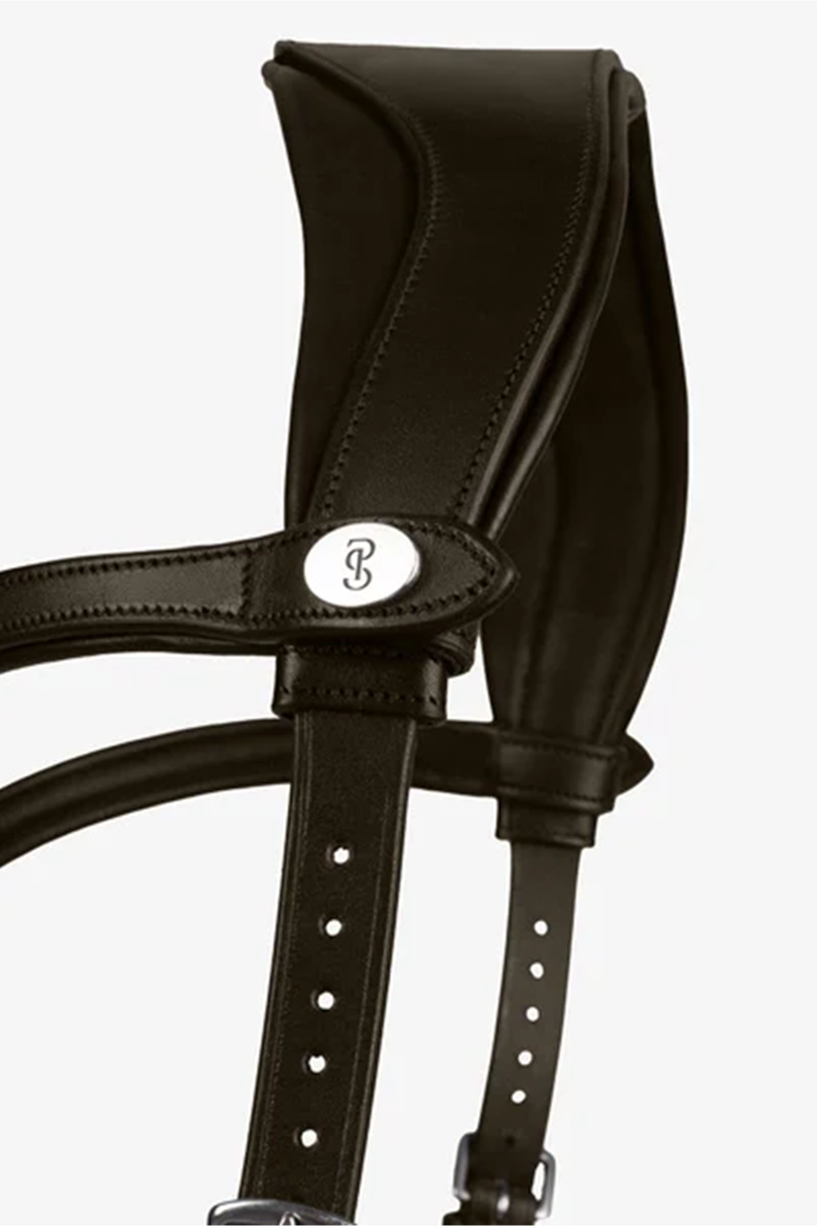 PS of Sweden Briglia King Edward