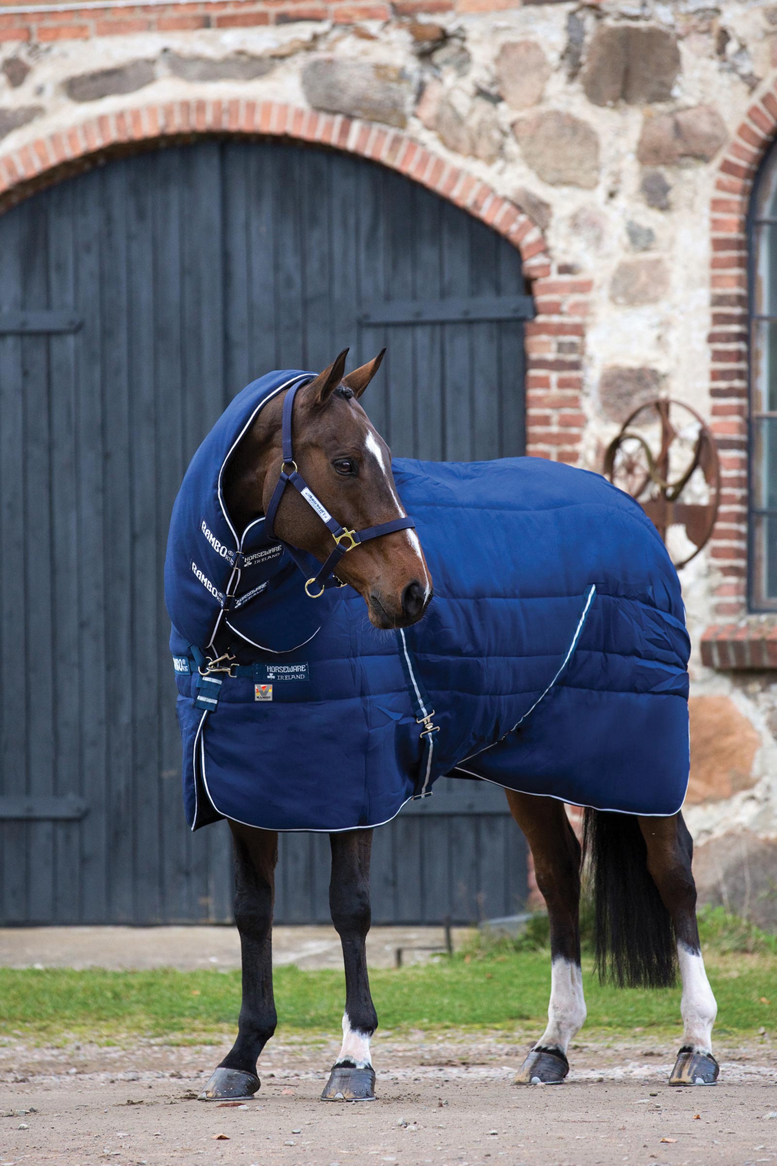 Horseware Rambo Plus Vari-Layer coperta da stalla con collo rimovibile, 450 g