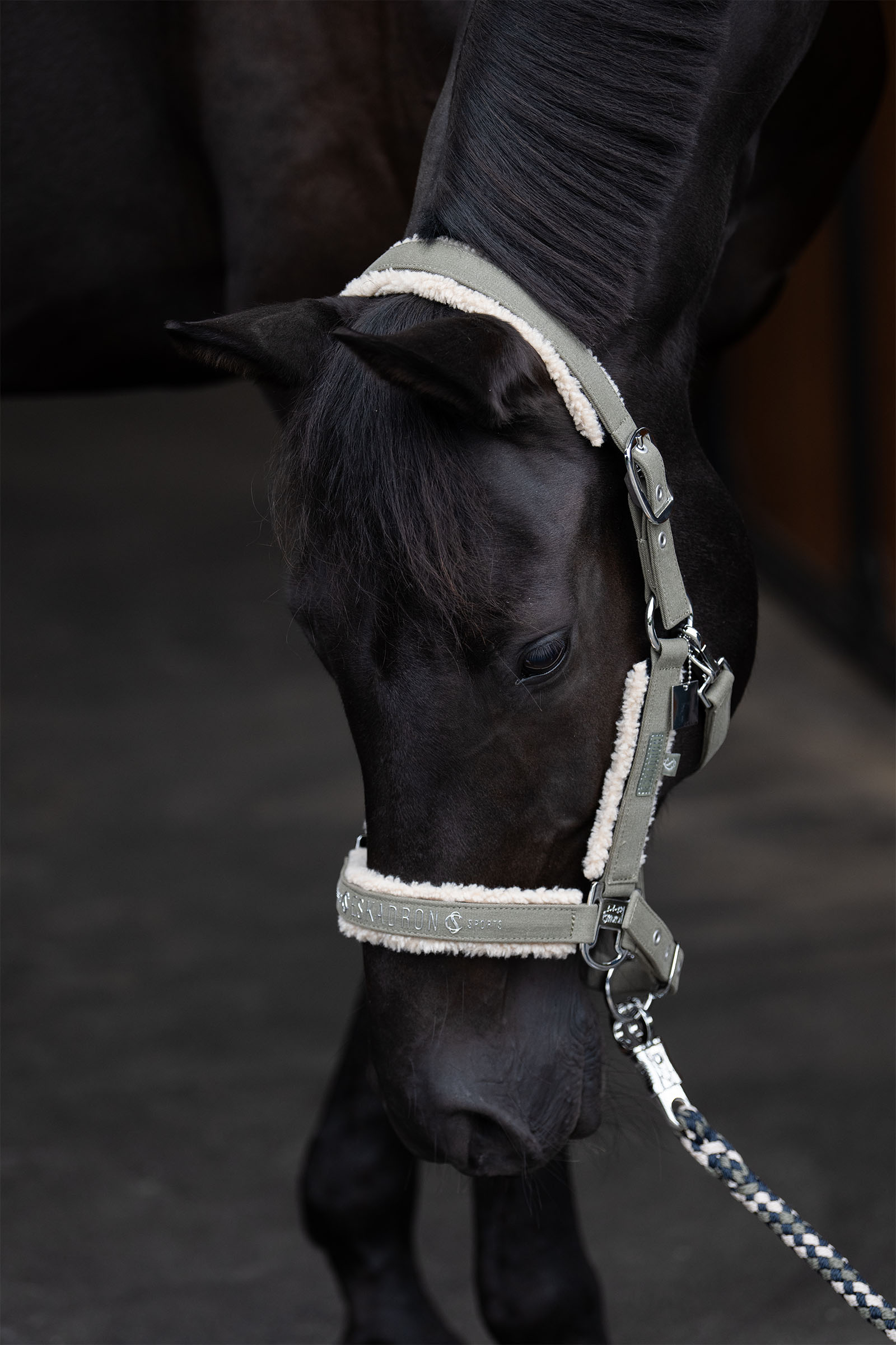 Eskadron Classic Sports SS25 Capezza in denim con doppia fibbia e teddyfleece