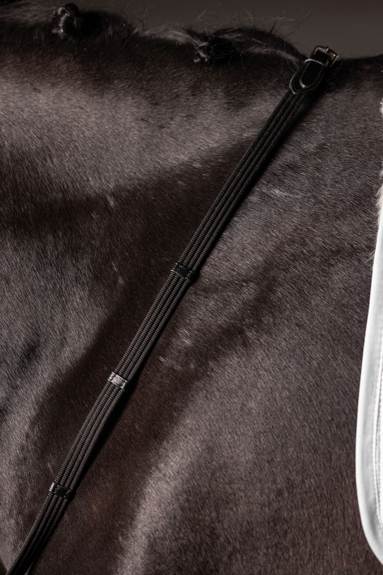 LeMieux Continental redini in tessuto