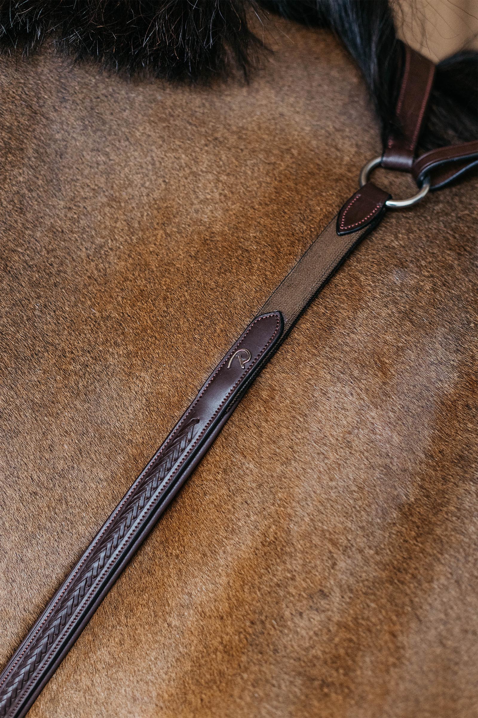 Dy'on New English pettorale intrecciato con ponte