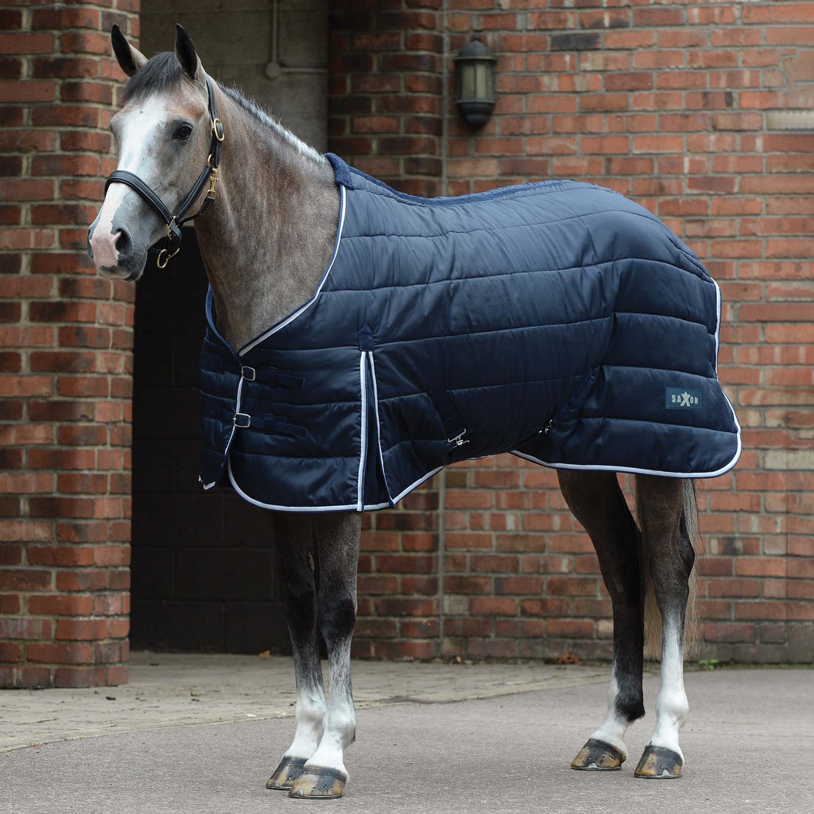 Saxon Channel Coperta da stalla trapuntata, 200 gr