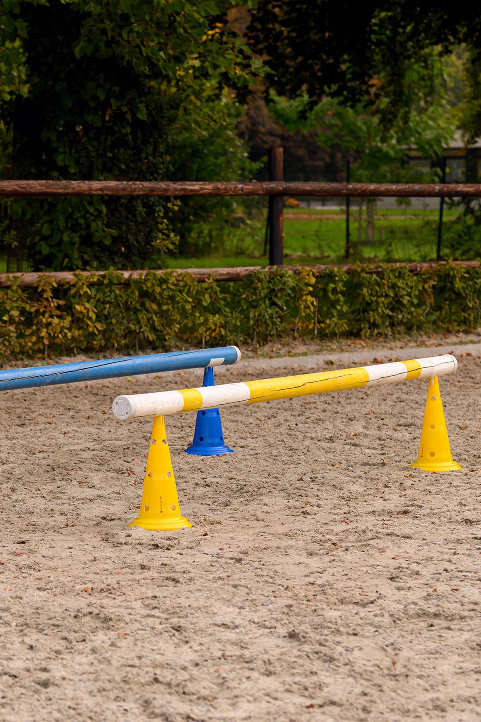 Waldhausen XL coni con borsa trasporto (8 pz)