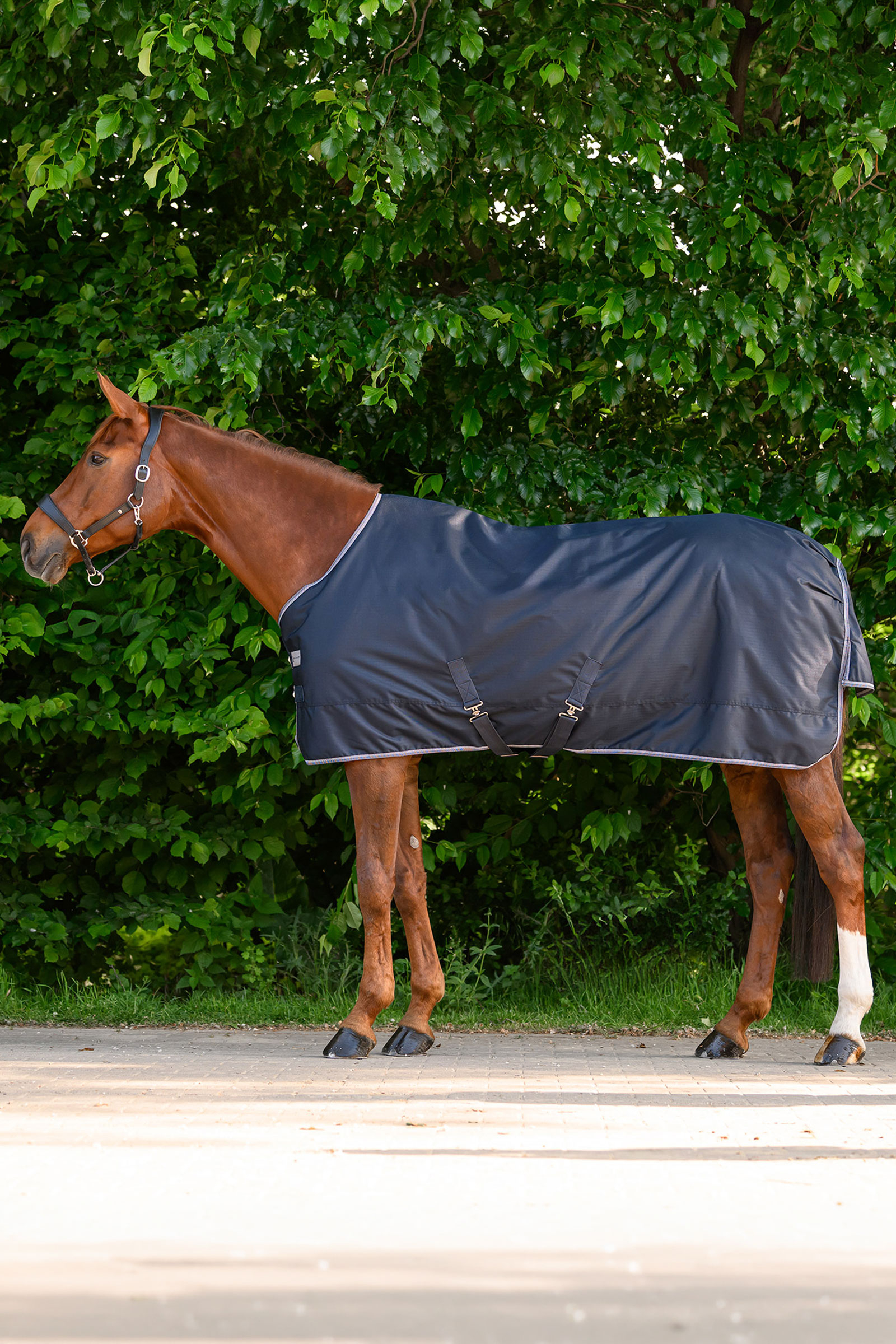 Waldhausen ECONOMIC coperta outdoor, 100g