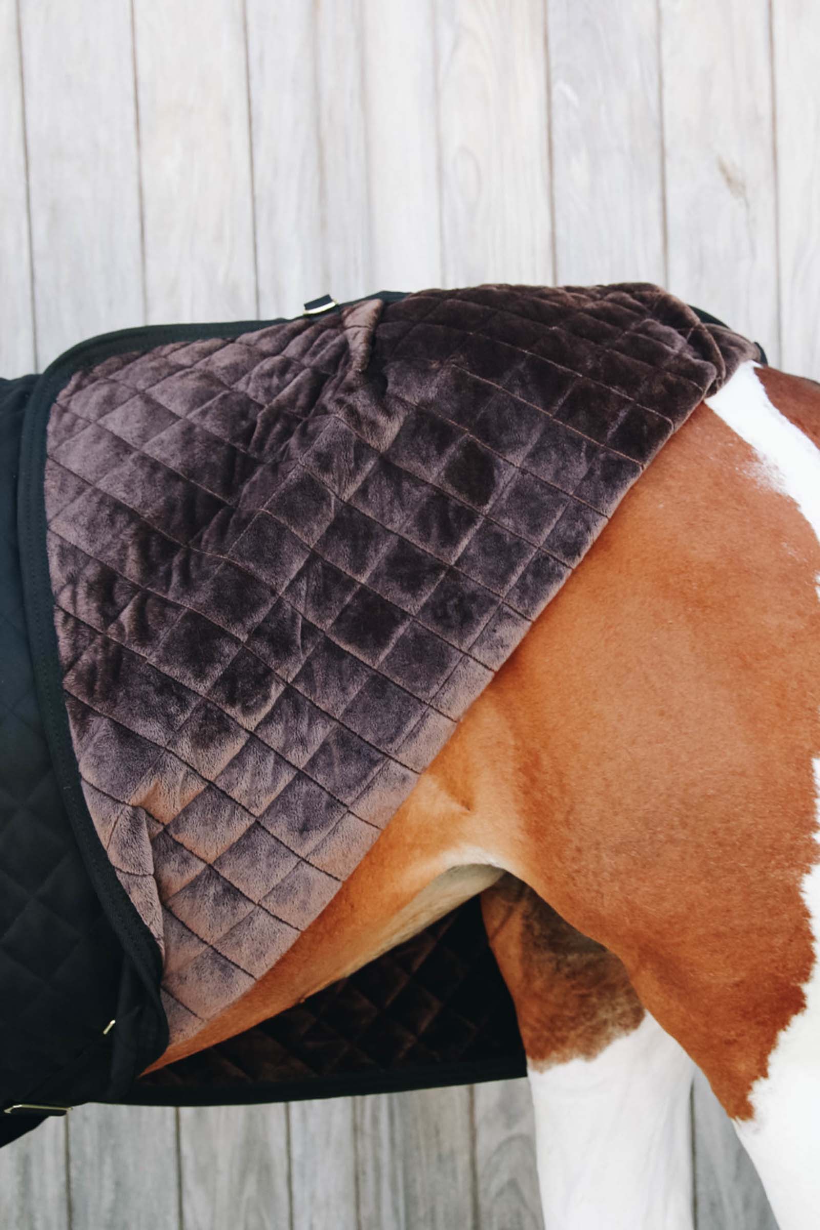 Kentucky Horsewear Coperta da concorso, 160 gr